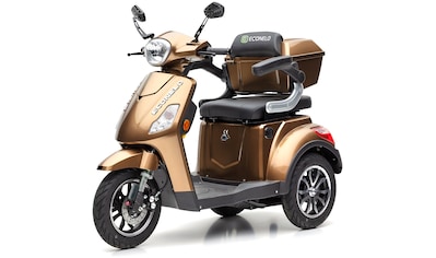 Econelo Online-Händler ▷ Scooter & E-Fahrzeuge | BAUR