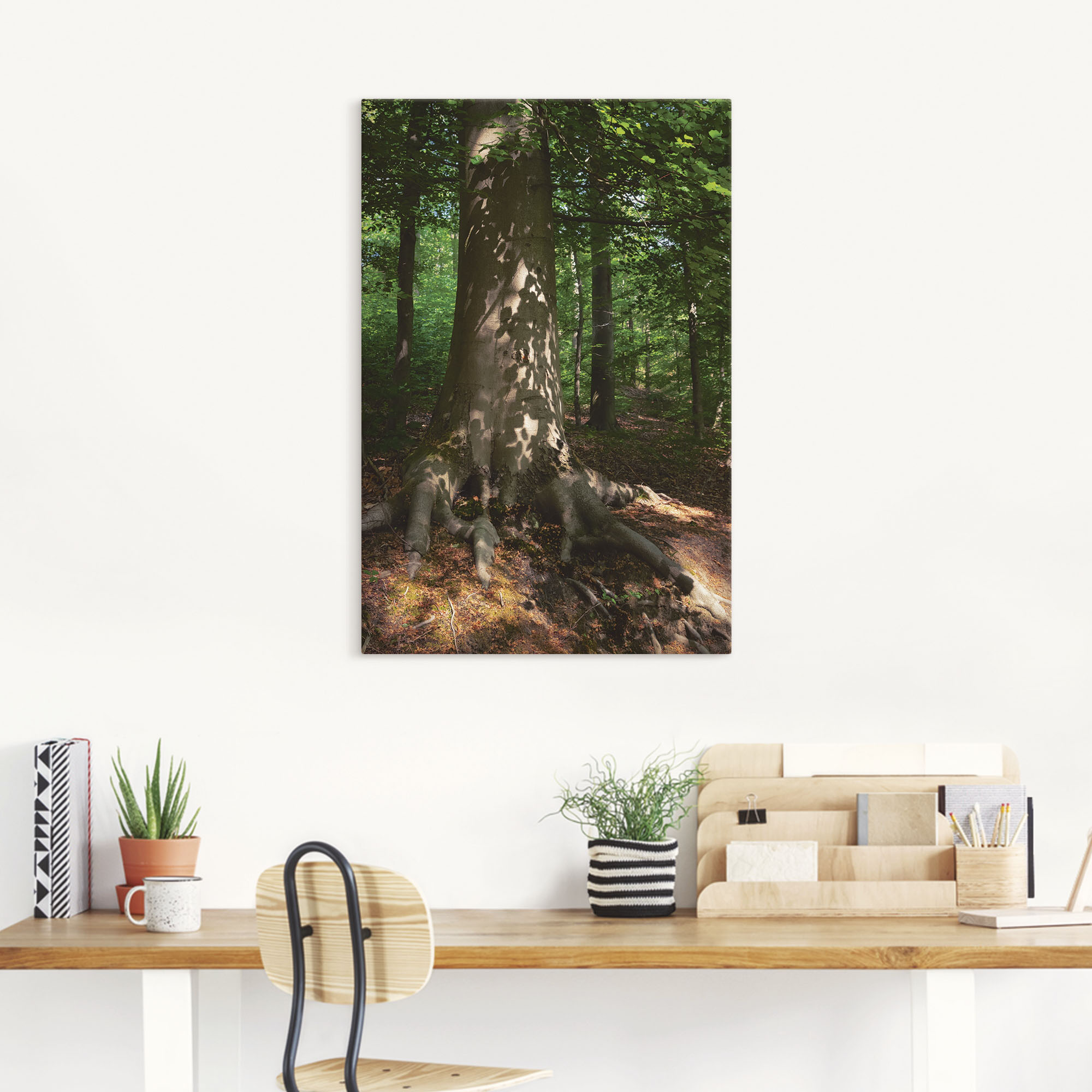 Thumbnail - Artland Wandbild "Waldimpression", Baumbilder, (1 St.), als Leinwandbild, Poster in verschied. Größen