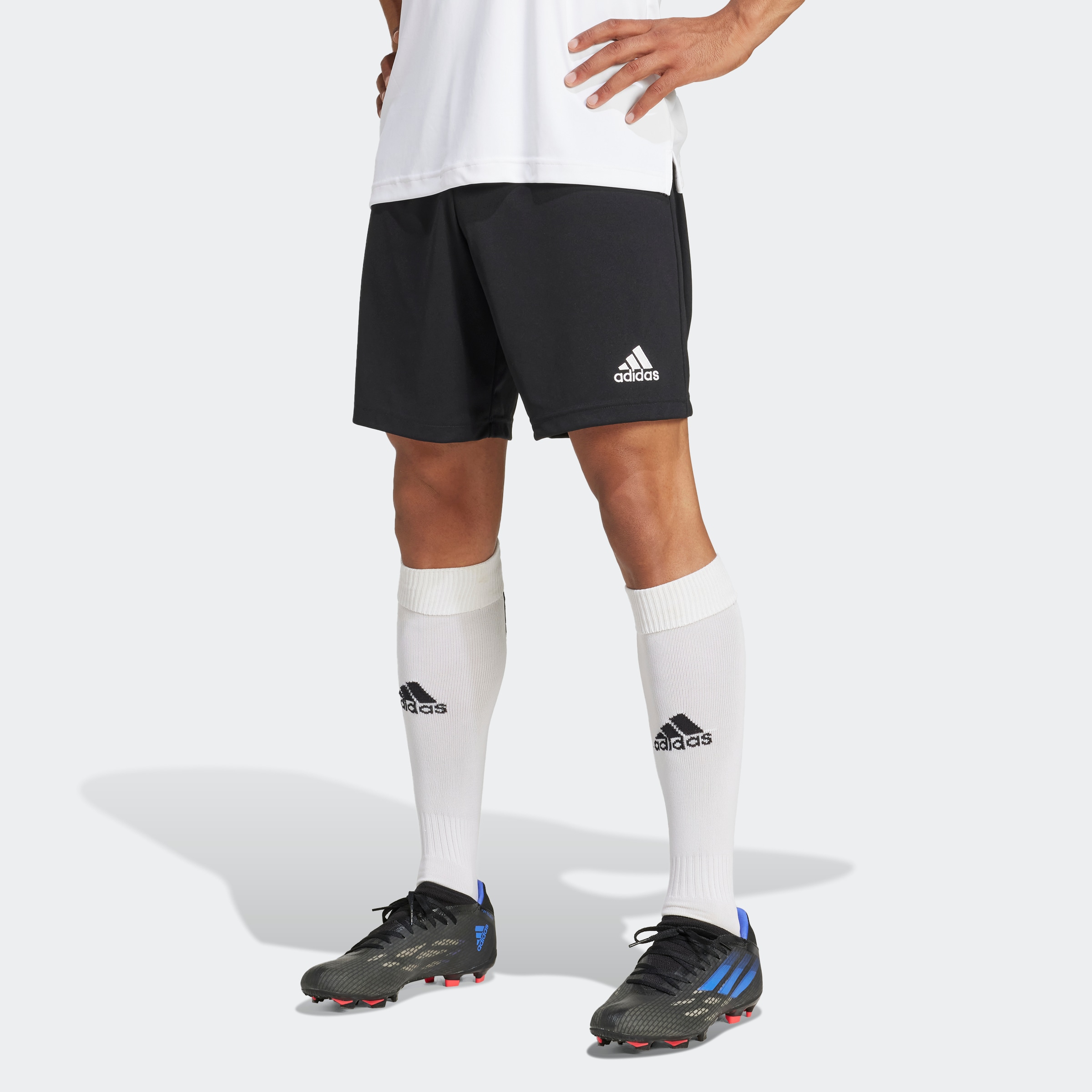 adidas Performance Trainingsshorts »ENT22 SHO«, (1 tlg.)