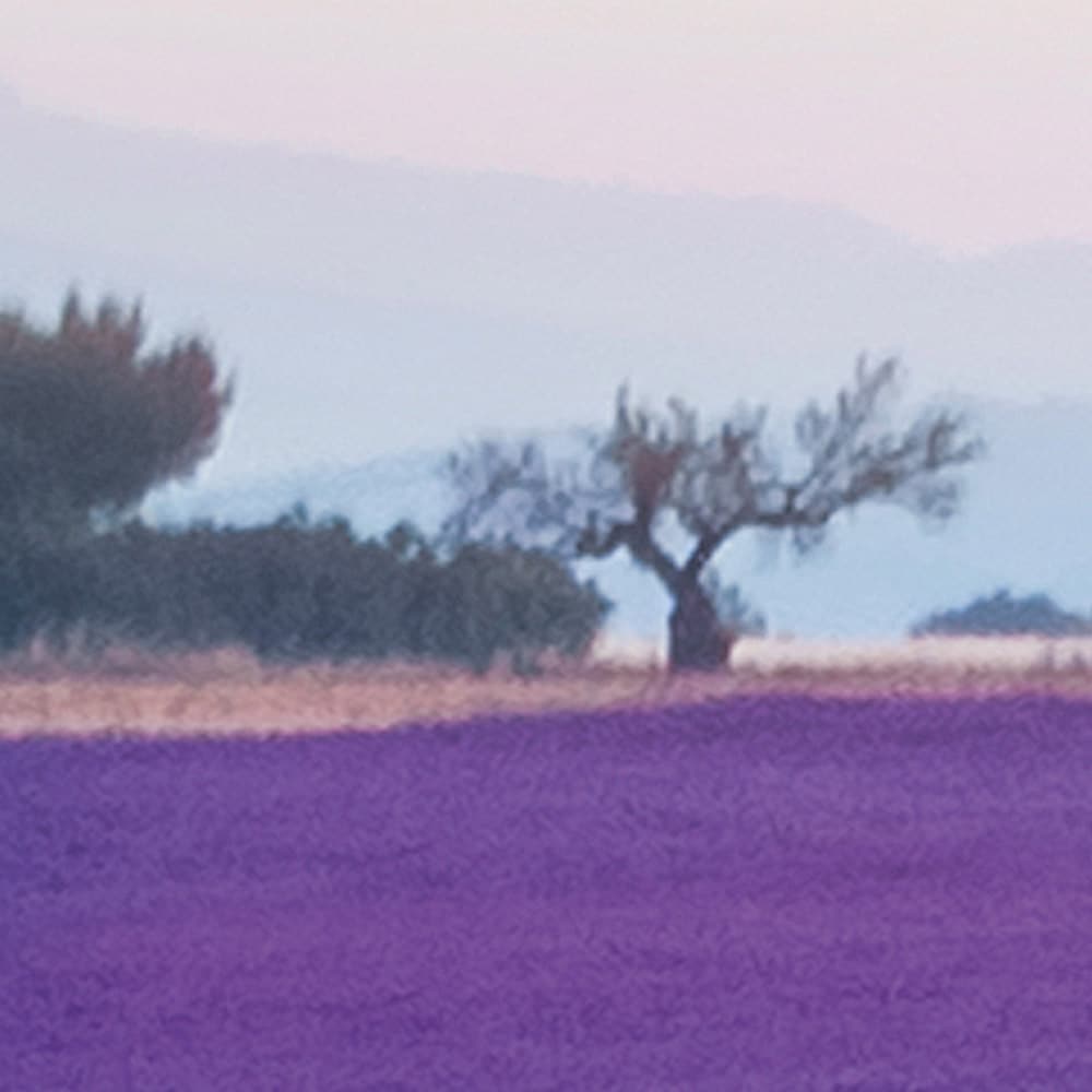 Komar Fototapete »Vlies Fototapete - Provence - Größe 400 x 260 cm« Motiv | bedruckt glatt