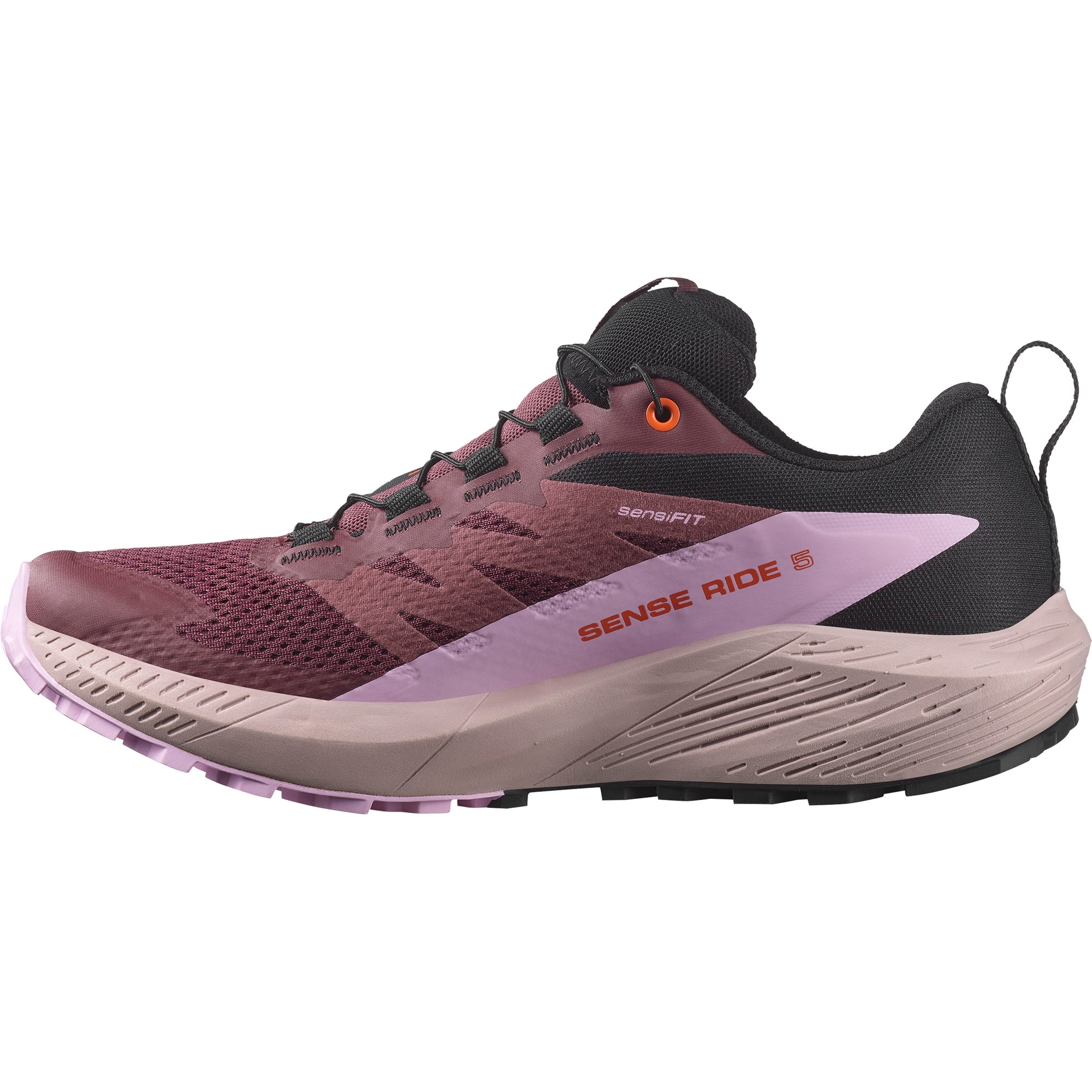 Salomon Laufschuh "SENSE RIDE 5 GORE-TEX", wasserdicht günstig online kaufen