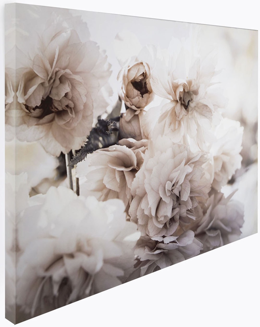 Leinwandbild Blumen - for Art 1 Home kaufen 60x80cm«, - | BAUR the (Packung, St.)