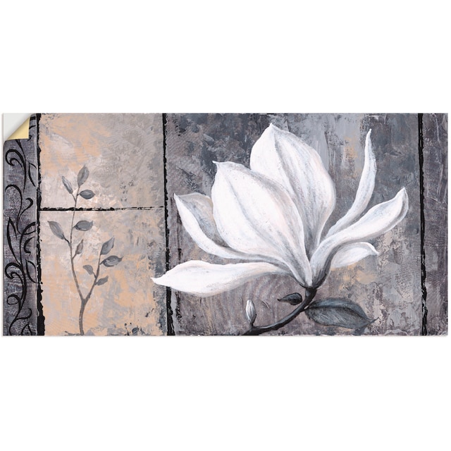 Artland Wandbild »Klassische Magnolie«, Blumen, (1 St.), als Alubild,  Leinwandbild, Wandaufkleber oder Poster in versch. Größen bestellen | BAUR