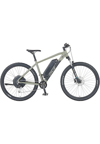 Prophete E-Bike »DICE 2.0« 9 Gang Shimano Heckm...