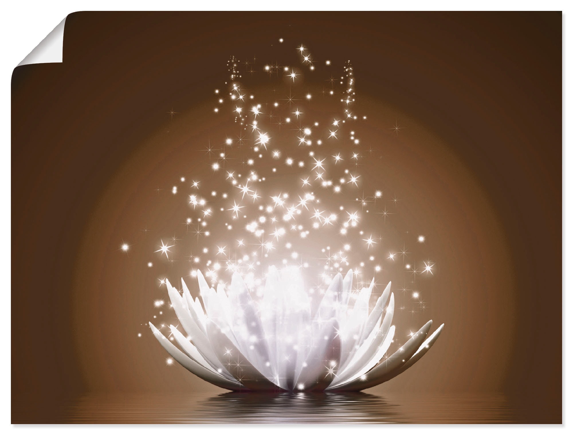 Artland Wandbild "Magie der Lotus-Blume" Blumen 1 Stk. tlg. als Leinwandbil günstig online kaufen