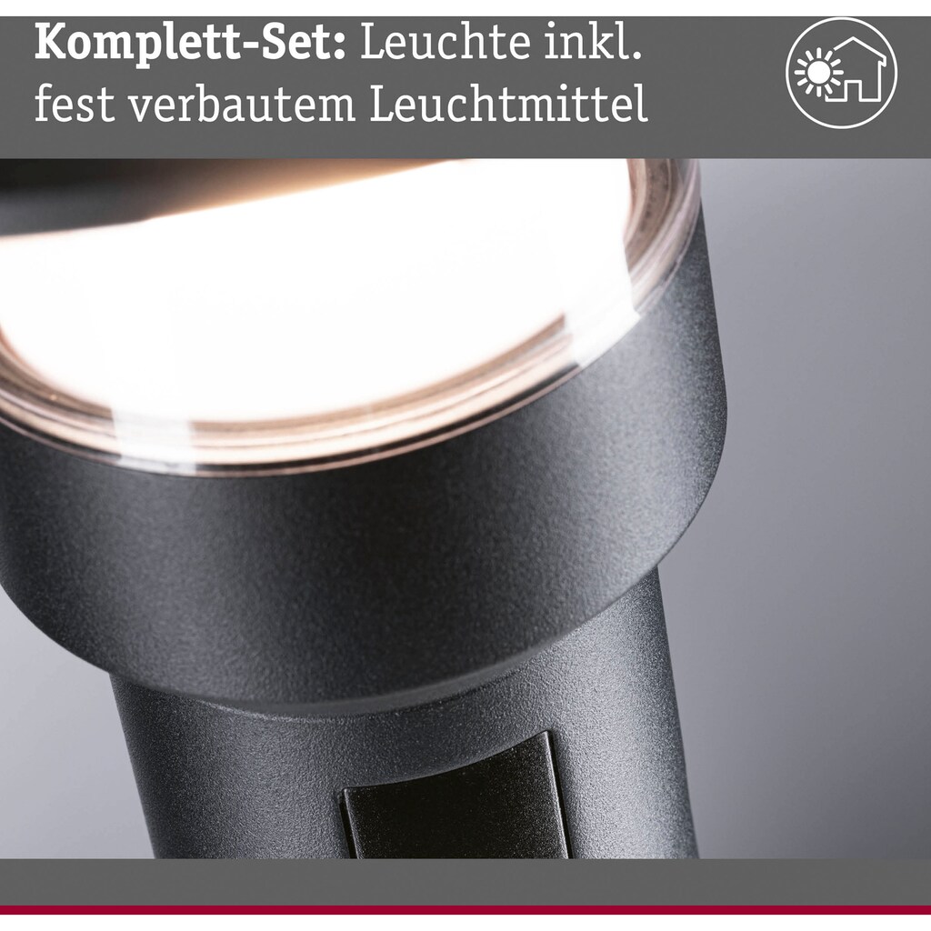 Paulmann LED Gartenleuchte »Sienna 230V Pollerleuchte«, 1 flammig-flammig