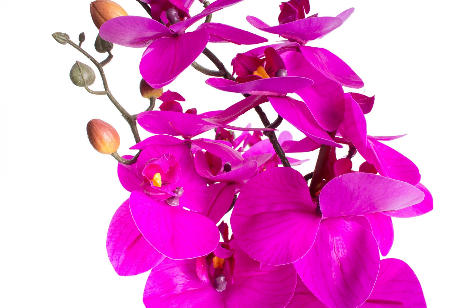 Botanic-Haus Kunstorchidee „Orchidee Bora“ fuchsia