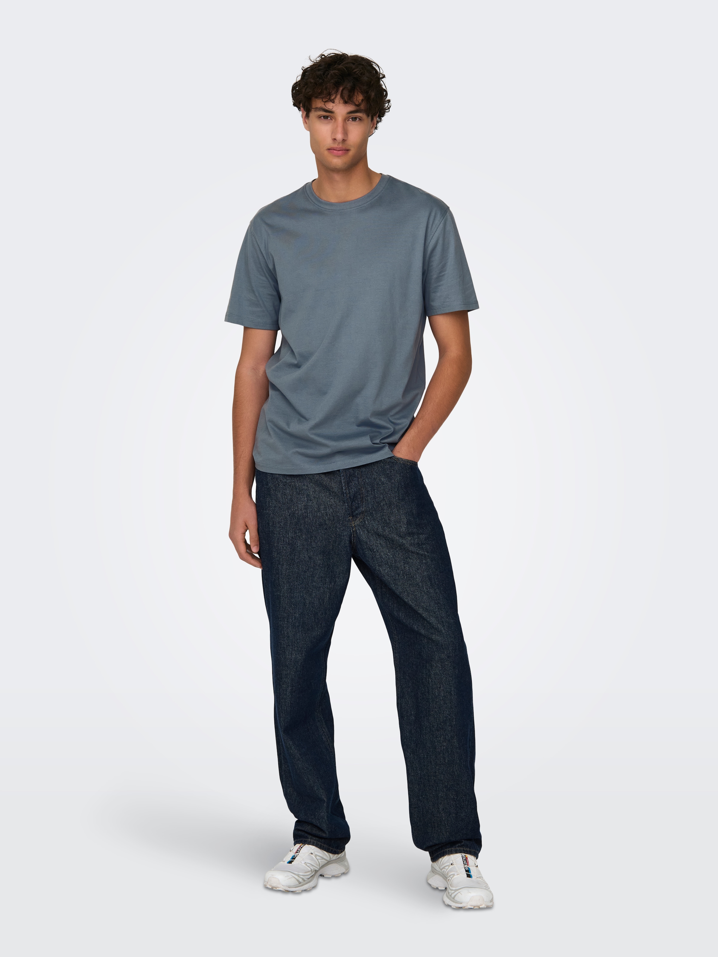 ONLY & SONS Rundhalsshirt »ONSMAX LIFE REG SS STITCH TEE«