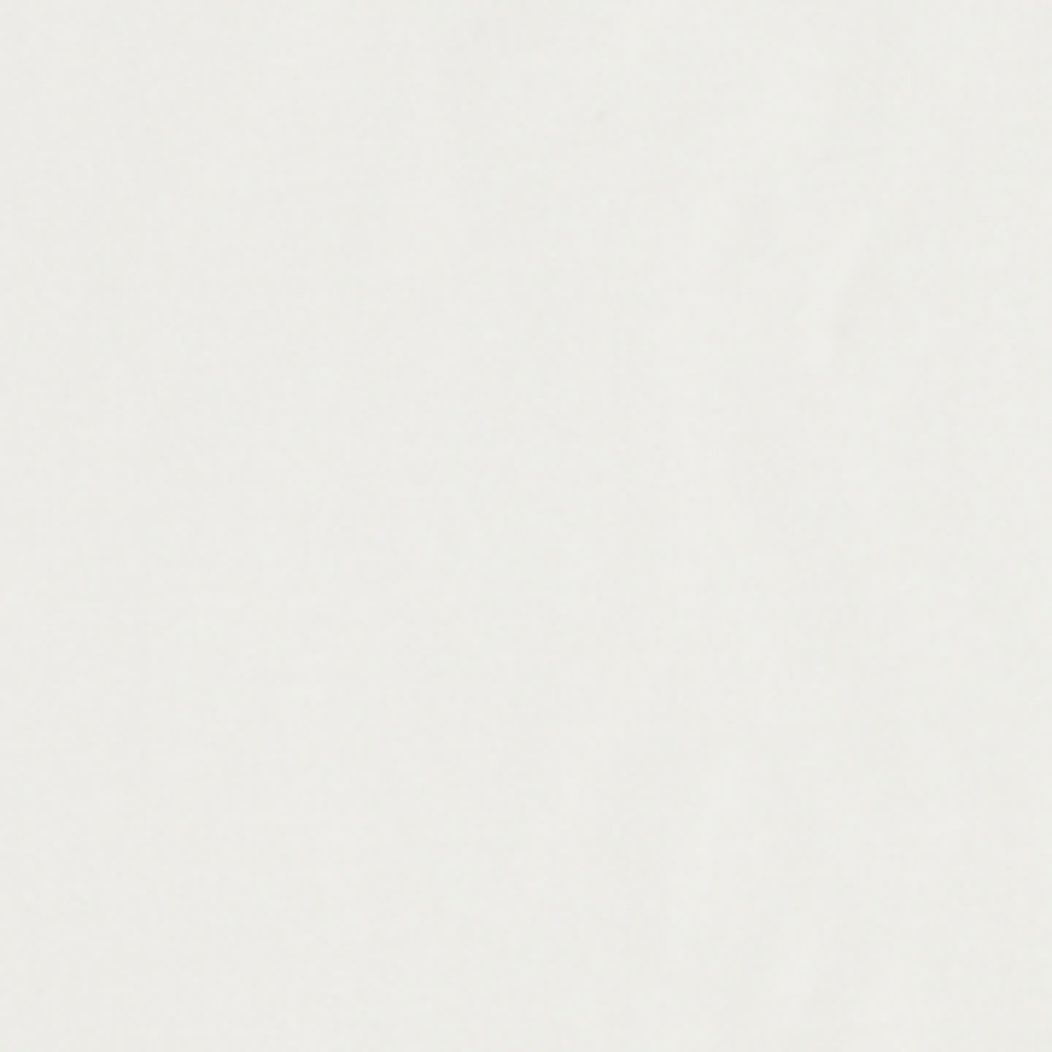 Cecil Sweatshirt , mit Frontprint
