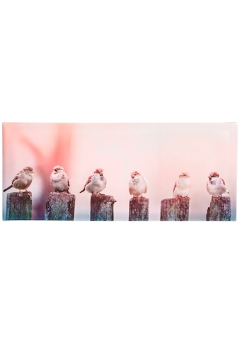 Leinwandbild »Morgengezwitscher«, Vögel