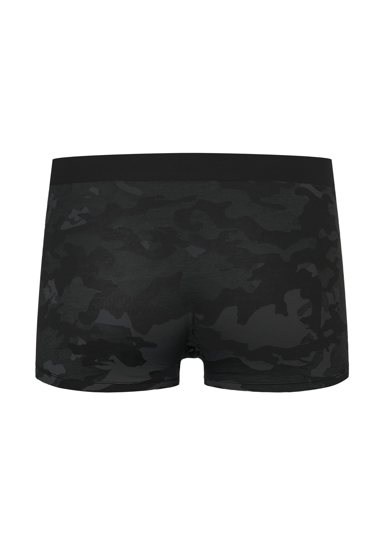 Camano Trunk