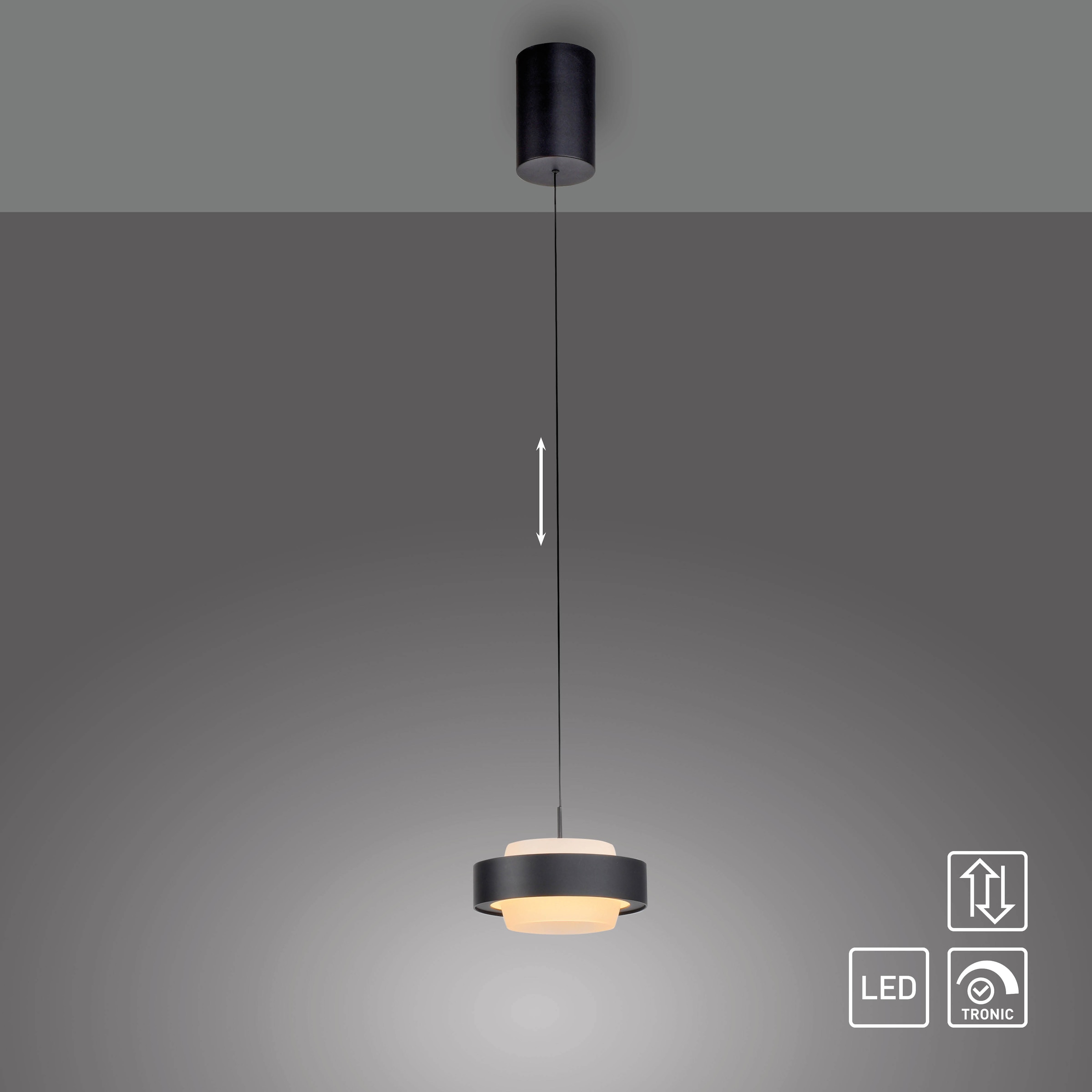 SCHÖNER WOHNEN-Kollektion LED Pendelleuchte »ELMO« LED-Board 1 Stk. Warmweiß SCHÖNER WOHNEN Kollektion, Comfort Lift, Dimmfähig per Tronicdimmer