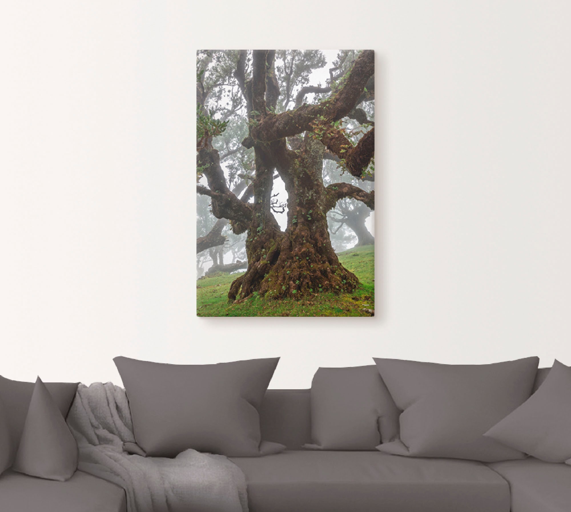 Artland Wandbild "Alter Lorbeerbaum", Bäume, (1 St.), als Leinwandbild, Pos günstig online kaufen