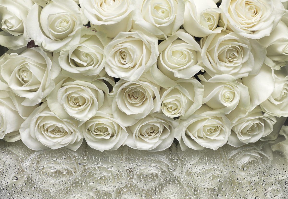 Komar Fototapete "A la Rose - Größe 368 x 254 cm" bedruckt glatt Wohnzimmer, Schlafzimmer