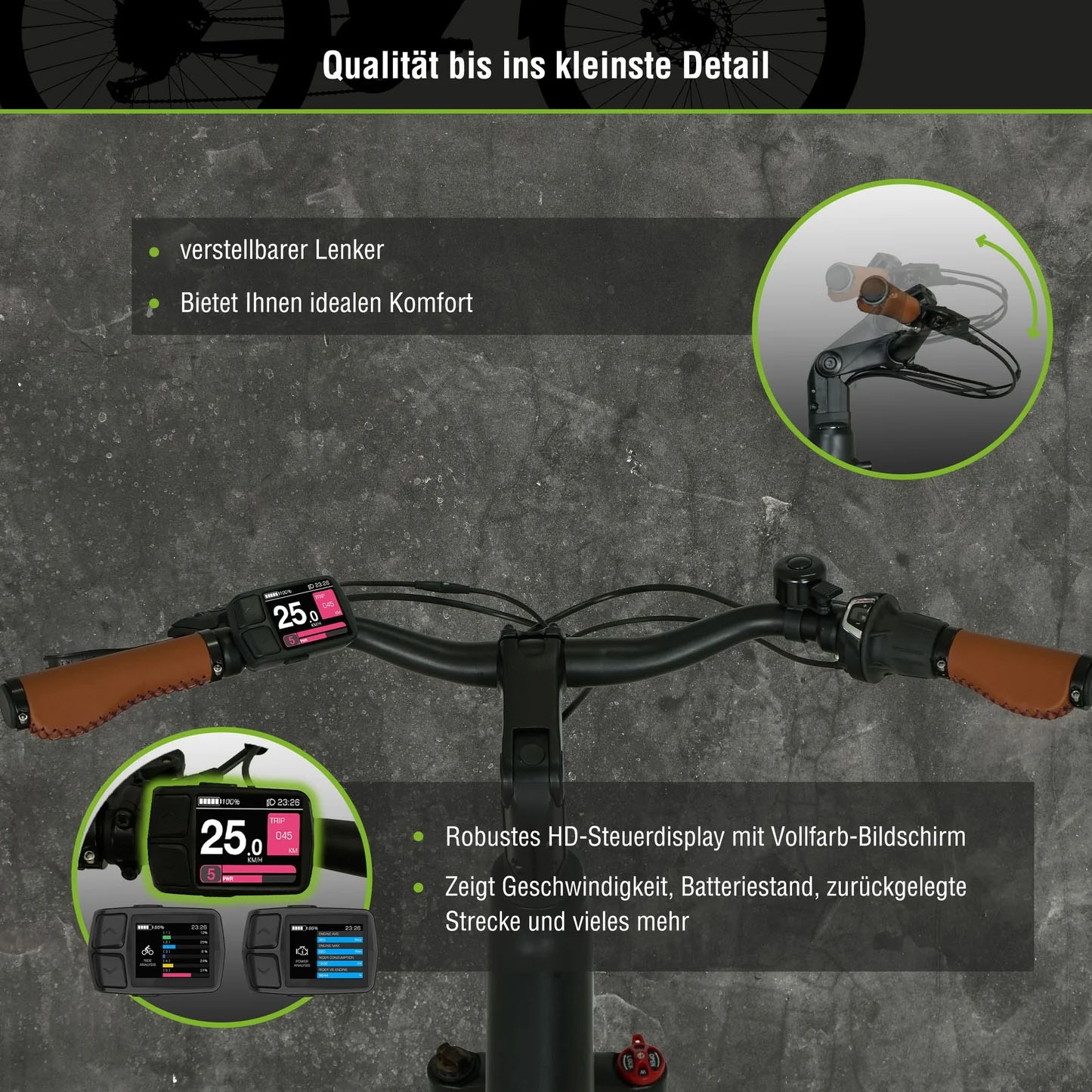 SachsenRad »C5R« 1 Gang Shimano keine Schaltwerk ohne Schaltung Mittelmotor 250 W TFT Farb-LCD-Display, Fahrmodus Pedelec, 
LED-Frontlicht, Alarmanlage