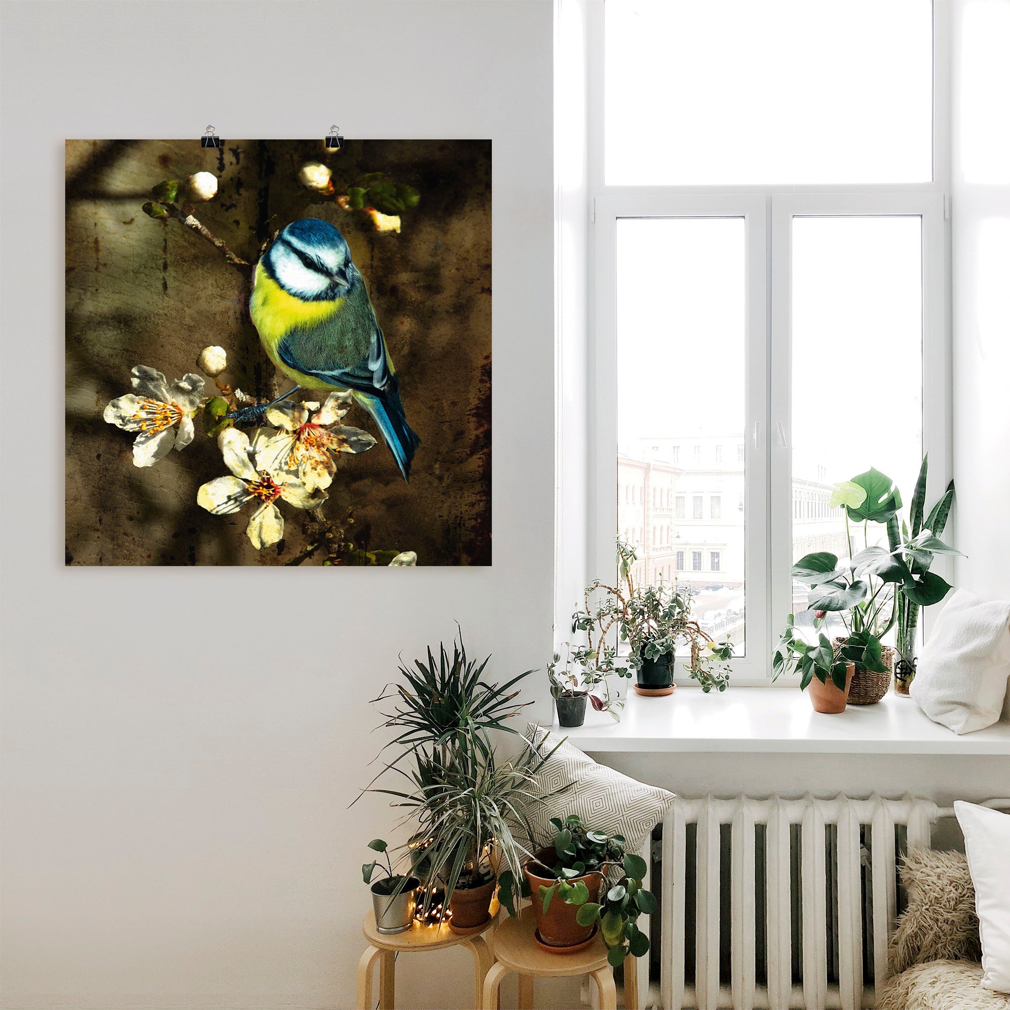 Artland Wandbild "Blaumeise auf Kirschzweig", Vögel, (1 St.), als Alubild, günstig online kaufen