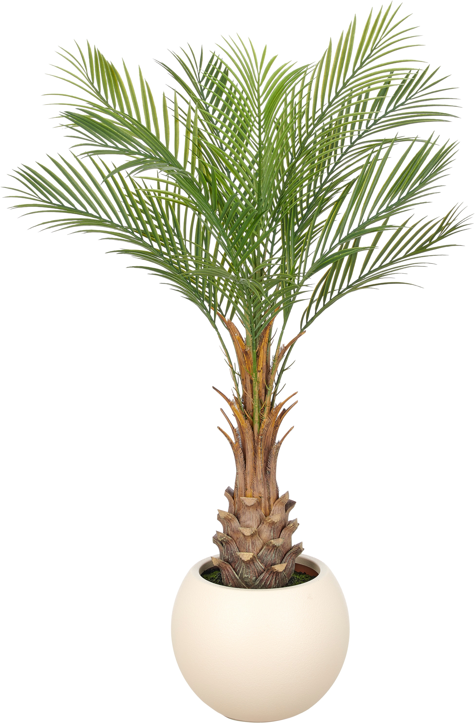 Creativ green Kunstpalme "Phoenixpalme roebelenii" mit naturgetreuen Palmwedeln