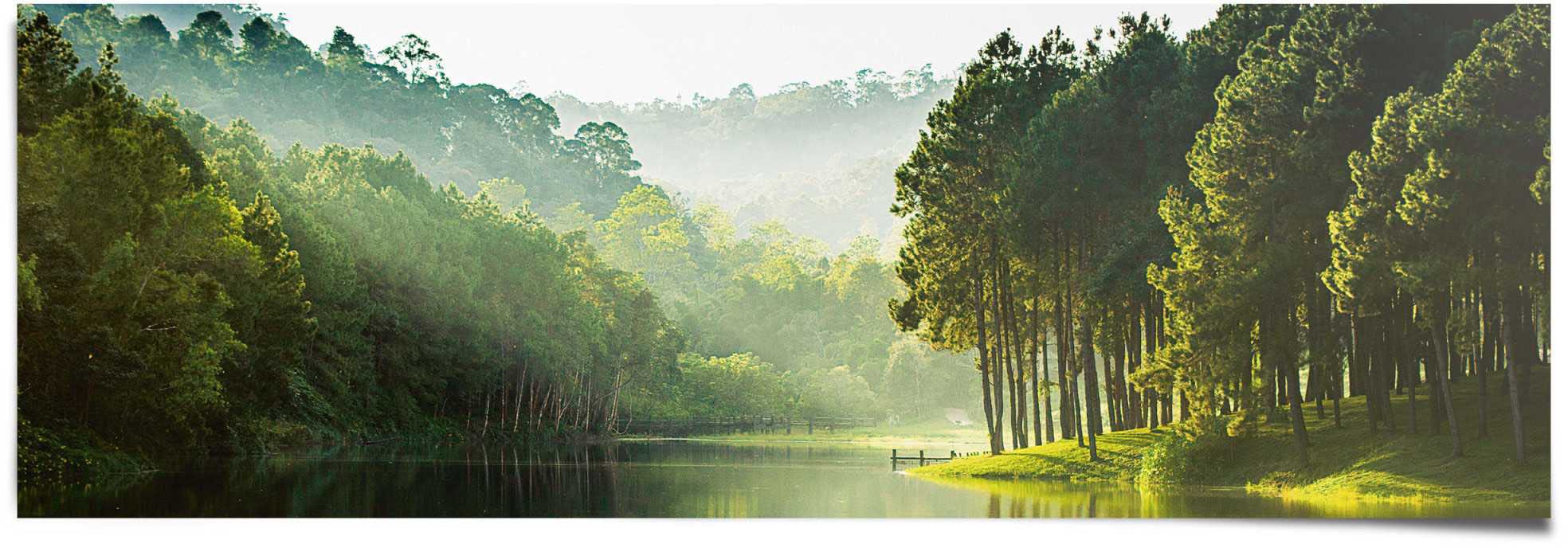 Reinders Poster "Mystischer Waldsee" 1 Stk. tlg. günstig online kaufen