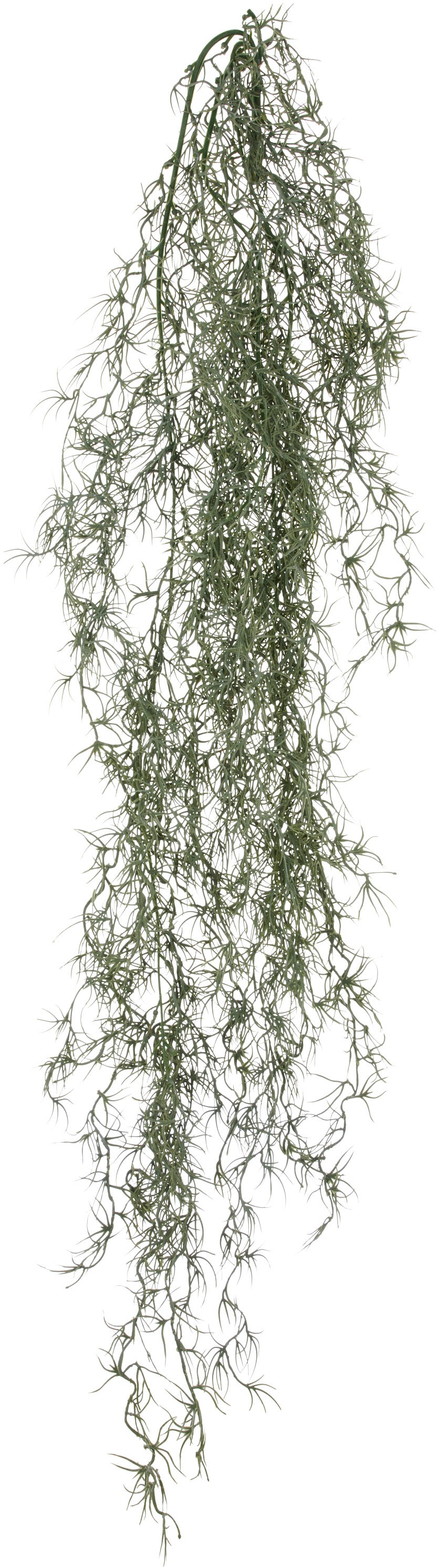 Creativ green Kunstranke "Tillandsia", mit filigranen Ranken günstig online kaufen