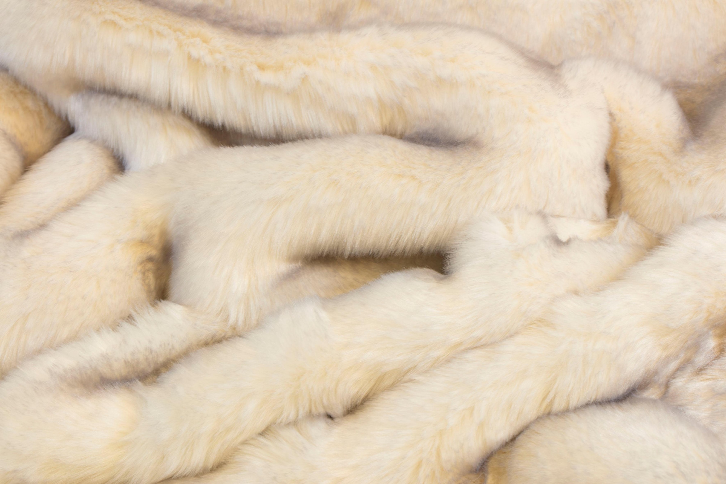 Star Home Textil Wohndecke »Polarfuchs«, besonders weich, Kuscheldecke  bestellen | BAUR