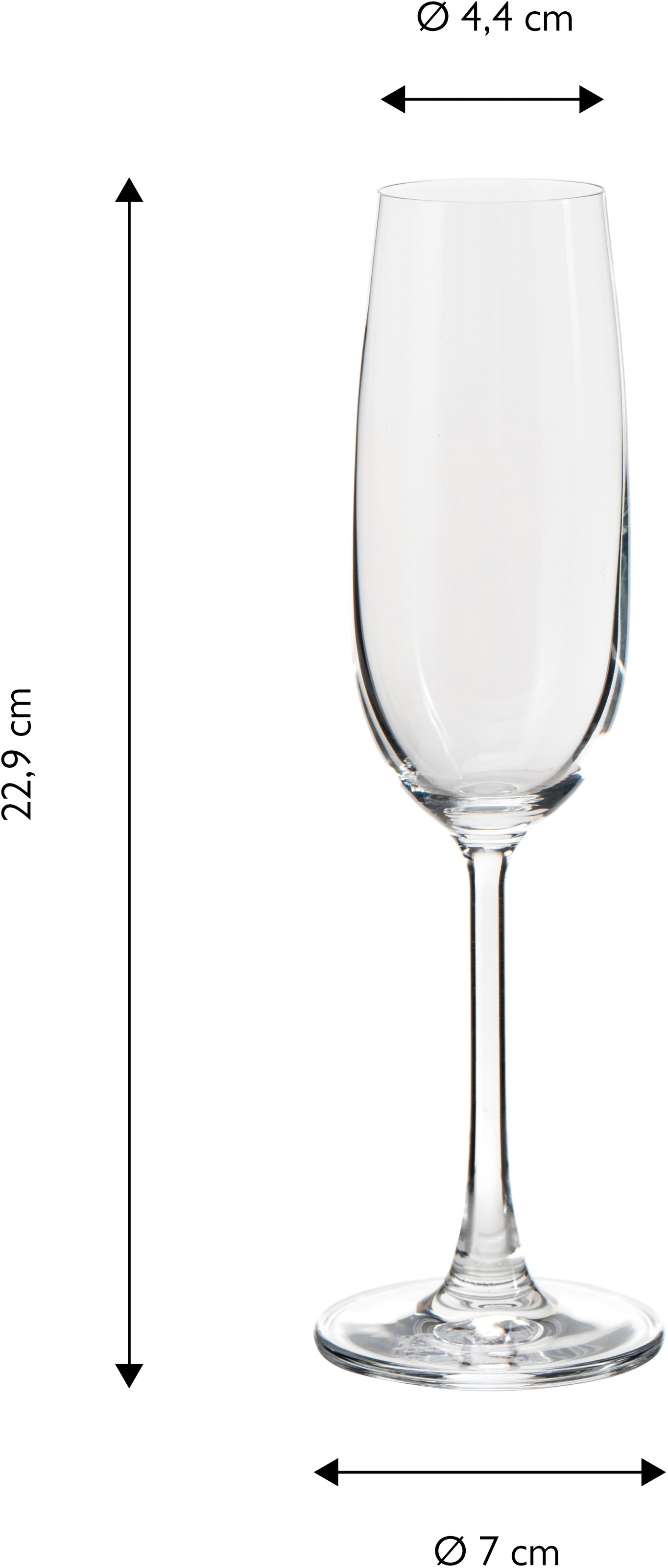ECHTWERK Sektglas »Champagnerkelche Set, ca. 210 ml«, (Set, 6 tlg.), für Champagner, Aperitifs, ideal für Feierlichkeiten