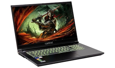 CAPTIVA Gaming-Notebook »Highend Gaming I69-264CH«, (43,9 cm/17,3 Zoll), Intel, Core... kaufen