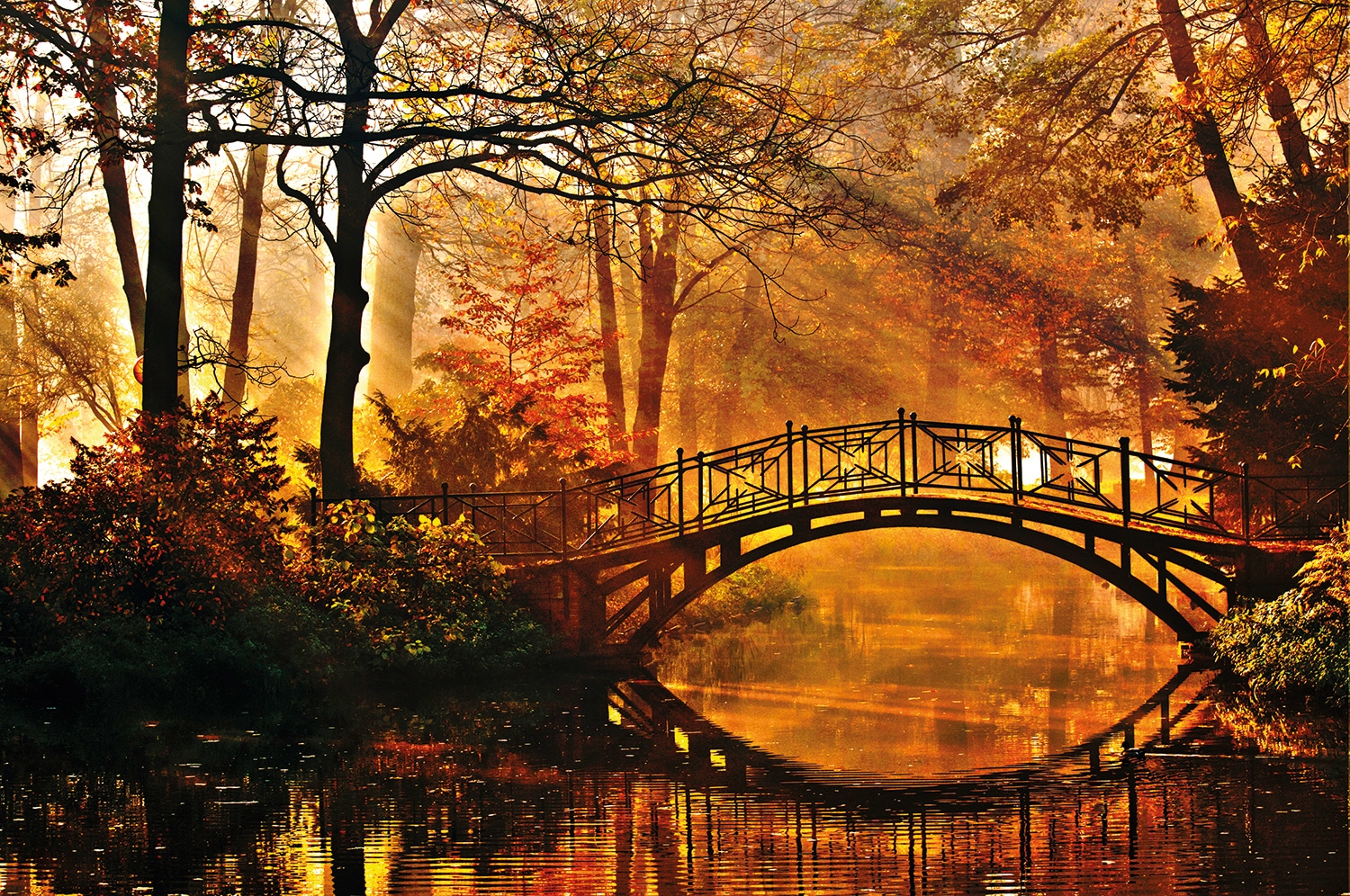 Papermoon Fototapete "Misty Park Bridge" glatt