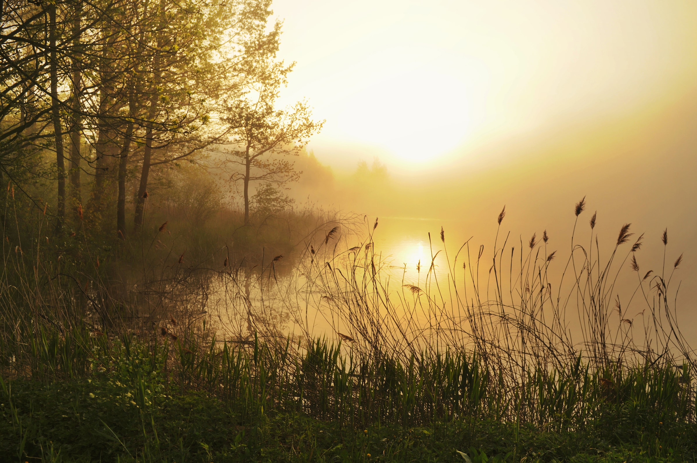 Papermoon Fototapete »Stunning Foggy Landscape«