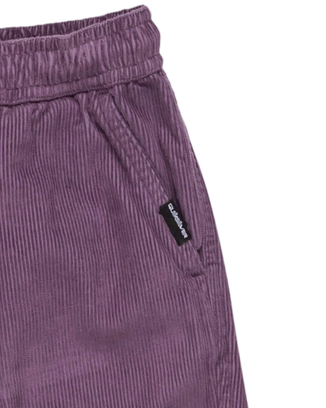 Quiksilver Bermudas »Taxer«