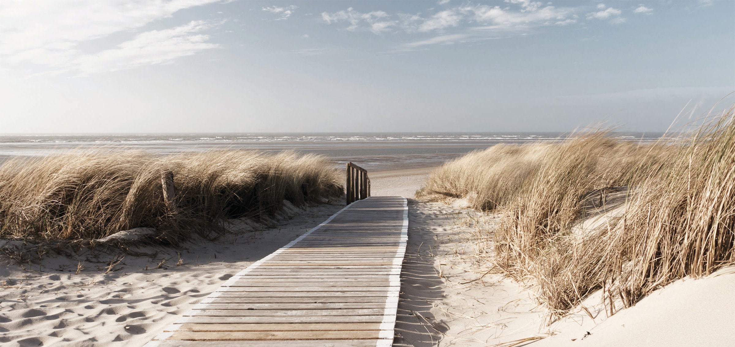 Bönninghoff Leinwandbild bestellen BAUR »Düne«, | (1 St.)