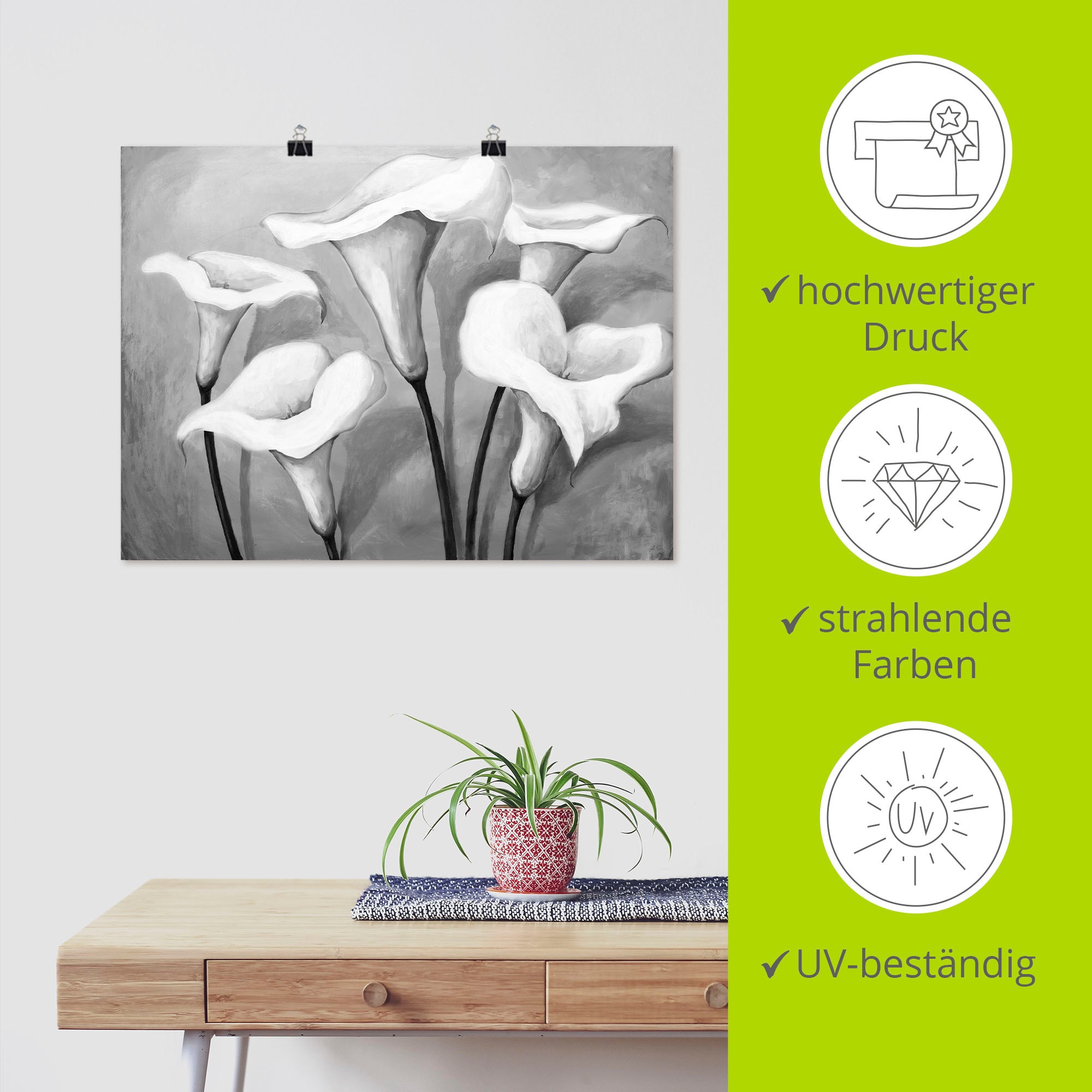 Artland Poster »Callas II« Blumen 1 Stk. tlg. als Leinwandbild, Poster in verschied. Größen