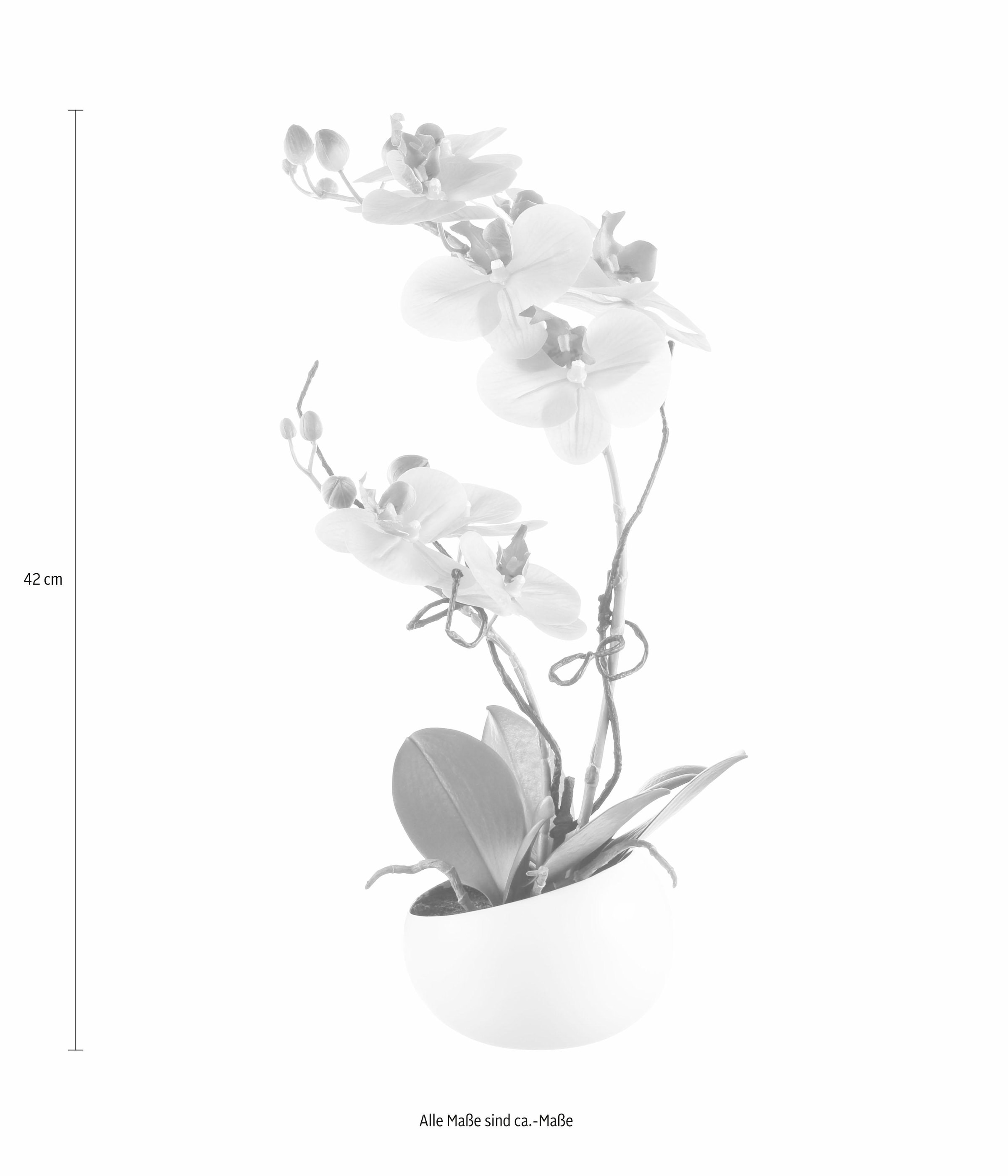 Creativ green Kunstpflanze »Orchidee«