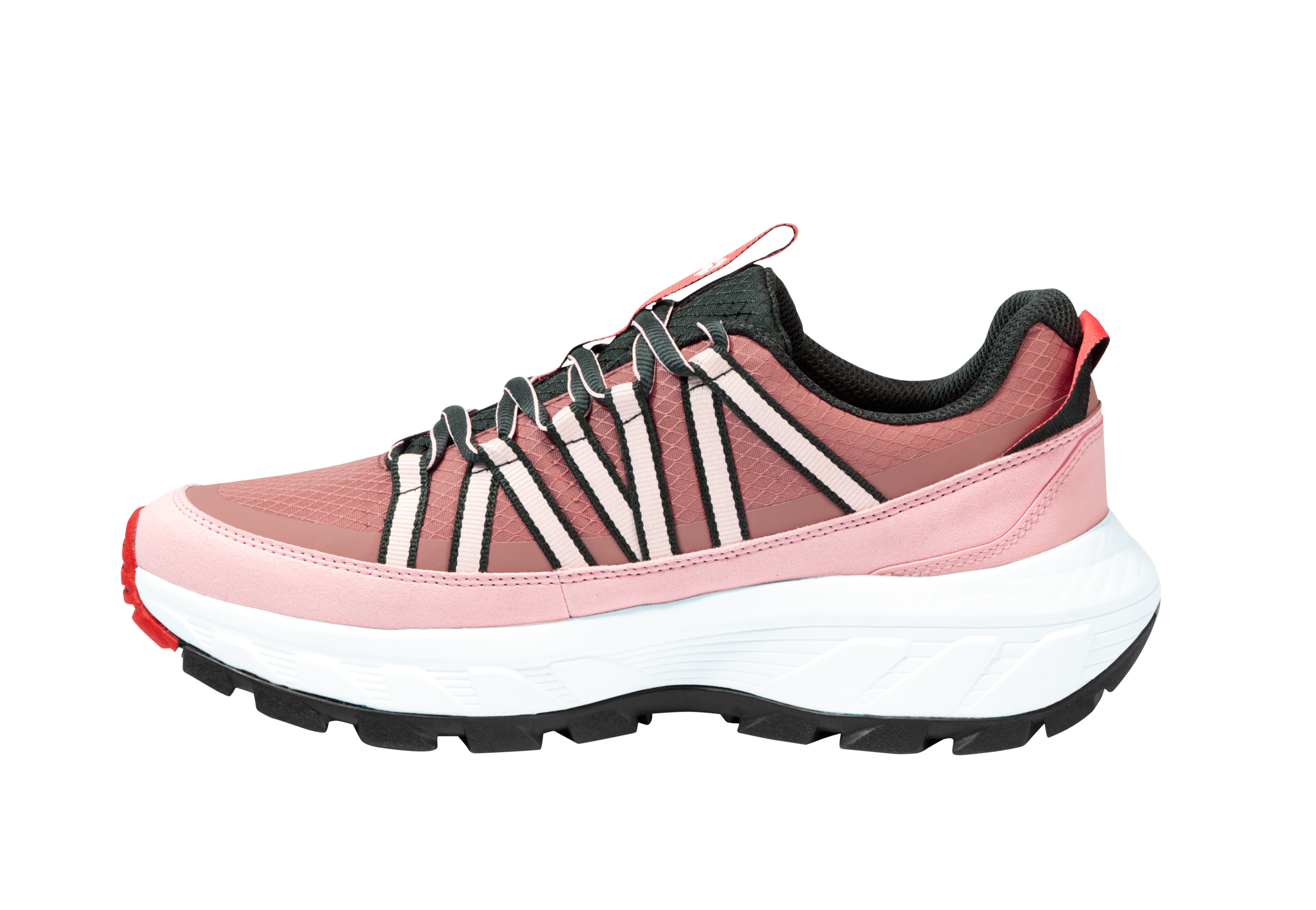 Jack Wolfskin Wanderschuh »WILD HIKE TEXAPORE LOW W«  Outdoorschuh, Trekkingschuh, wasserdicht