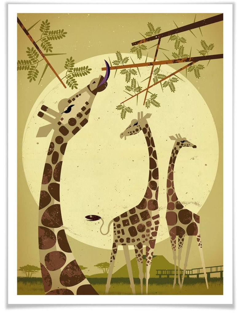 Poster »Giraffes«, Tiere, (1 St.), Poster ohne Bilderrahmen
