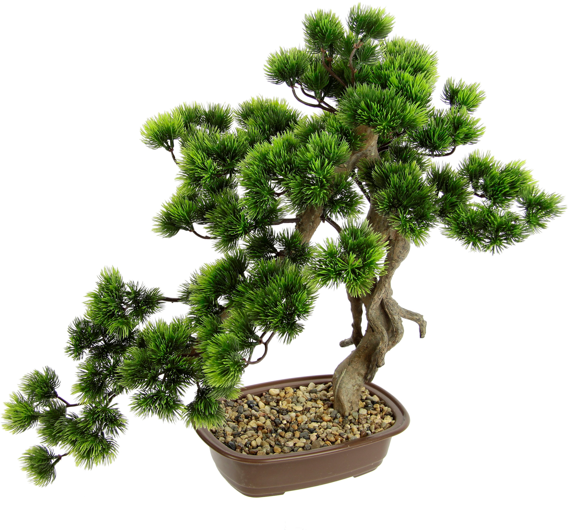 I.GE.A. Kunstpflanze »Bonsai Baum in Schale«, Exotische Bäume Zen Garten