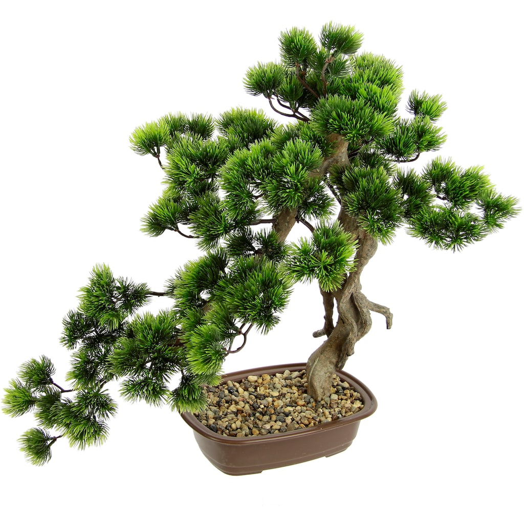 I.GE.A. Kunstpflanze »Bonsai Baum in Schale«
