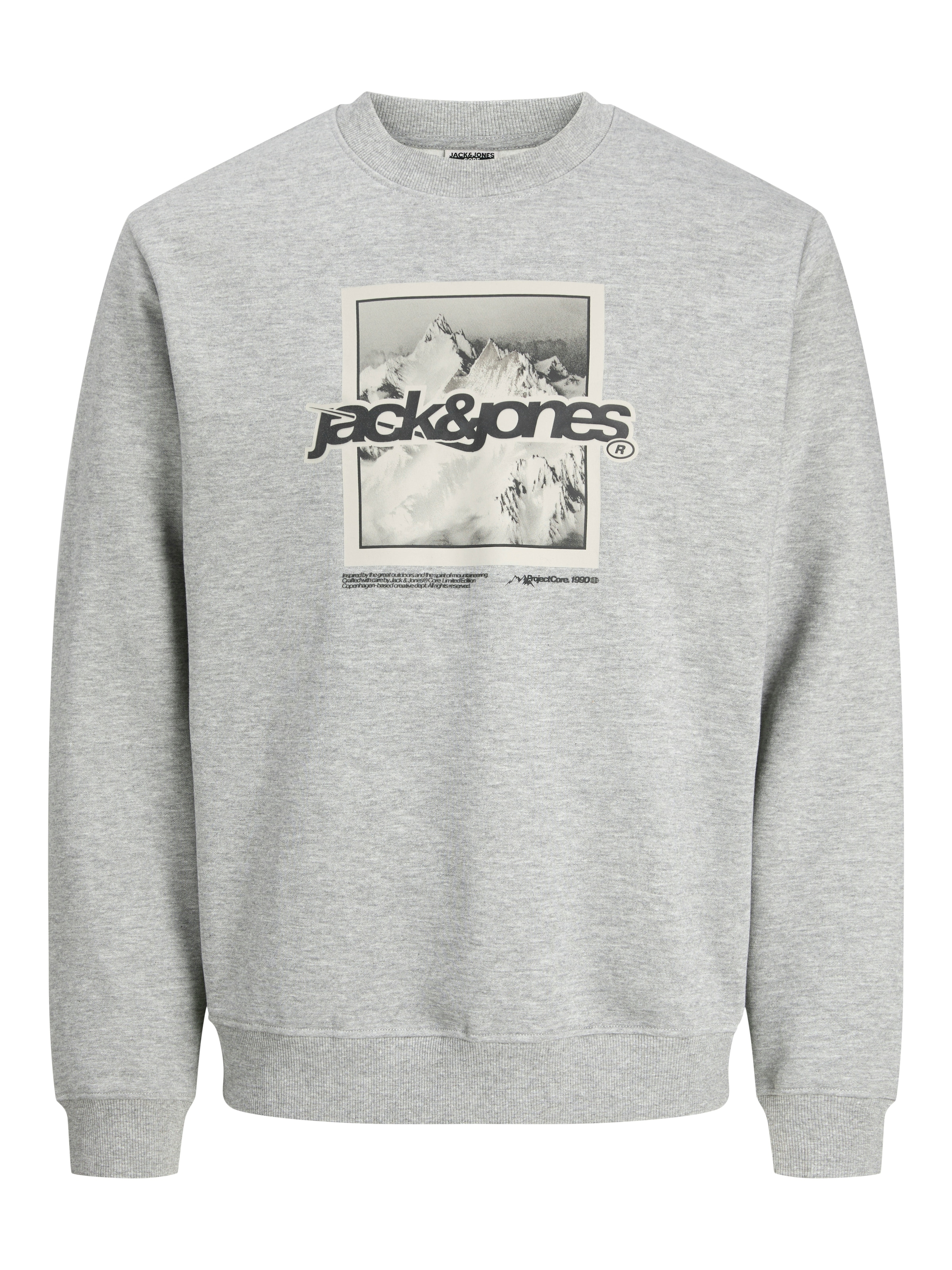 Jack & Jones Kapuzensweatshirt "JCOFLARE FRONT PRINT SWEAT CREW NECK" günstig online kaufen