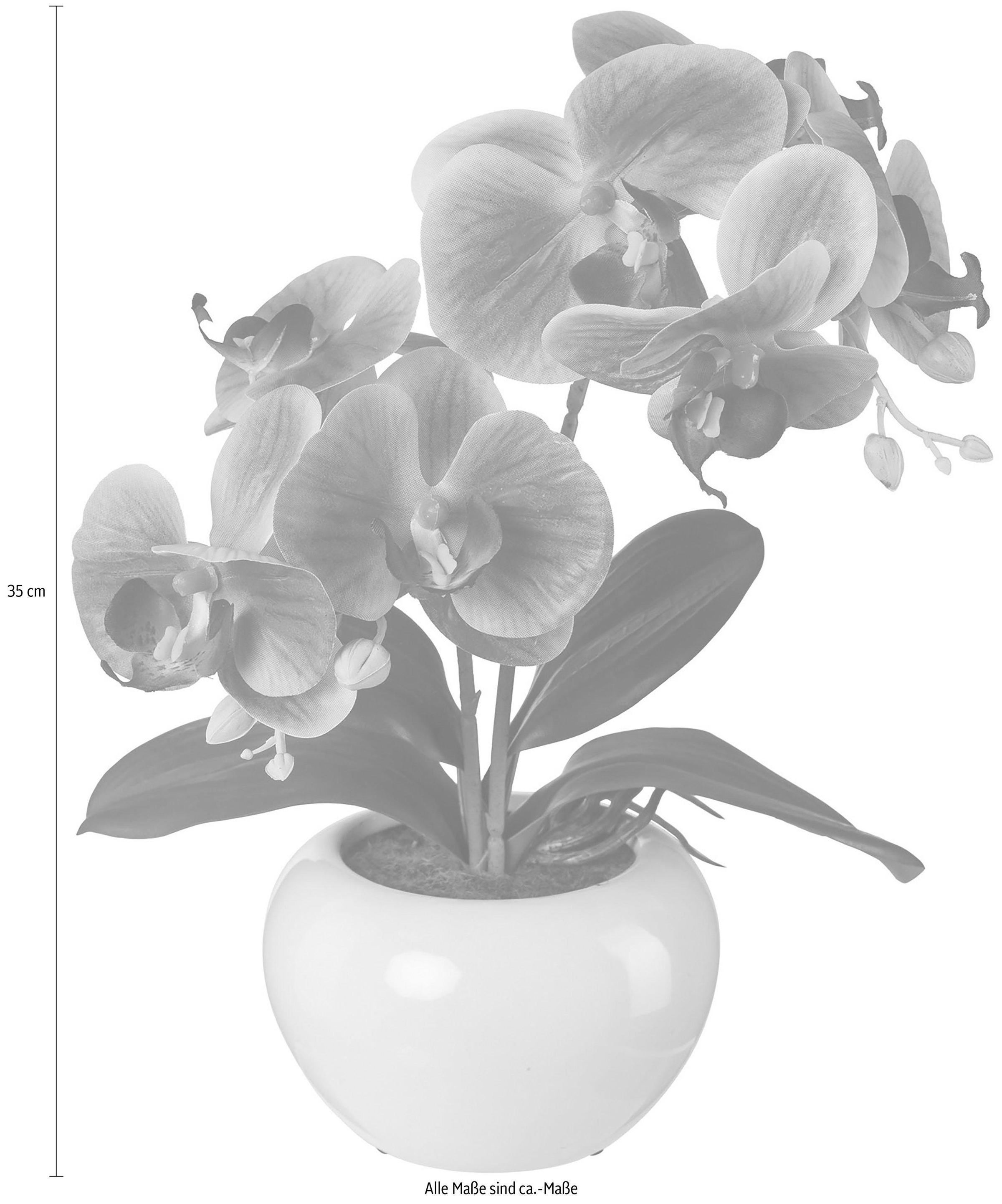 Creativ green Kunstpflanze 2er Set