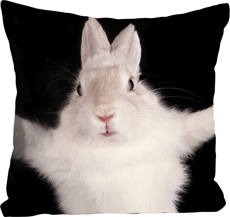 queence Dekokissen »Hugging Bunny«, Kissenhülle,Hase,Süß,Umarmen,Niedlich,Kuschelig,Fröhlich,Tiermotiv