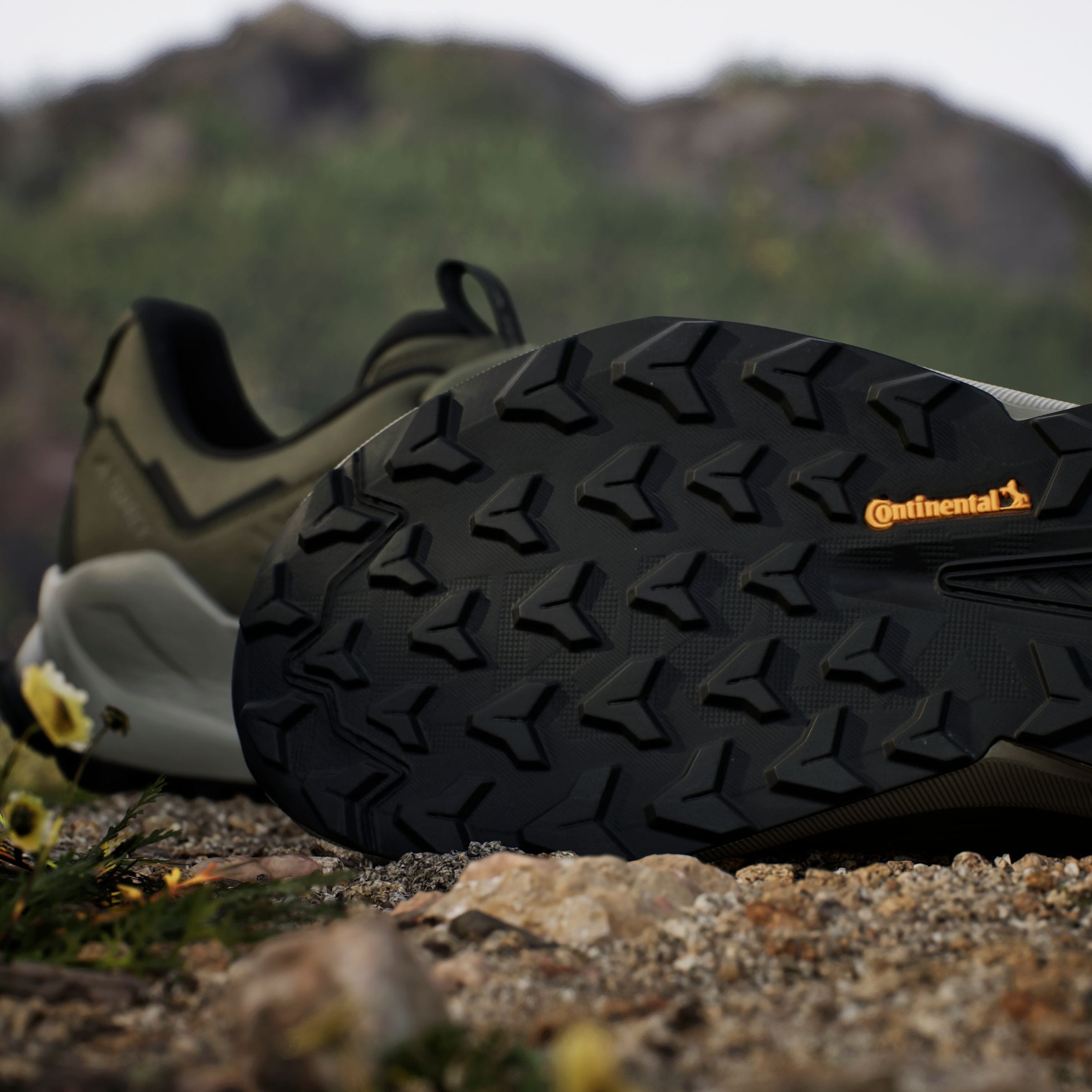 adidas TERREX Wanderschuh »TERREX TRAILMAKER 2.0 LEATHER«, aus Leder