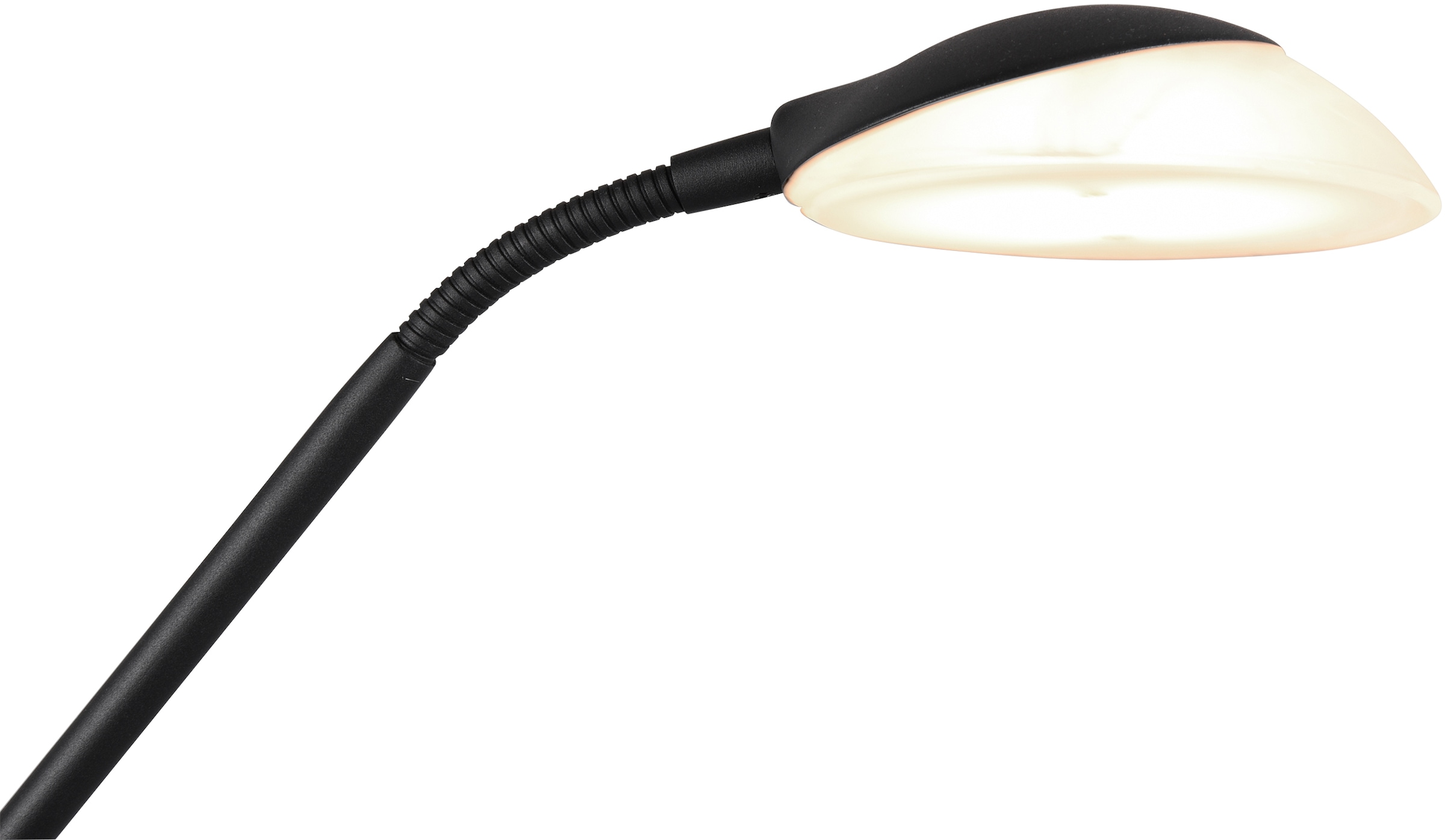 TRIO Leuchten flammig-flammig, Getrennt BAUR Stehlampe LED | Funktion Dimmer,Memory 1 »Orson«, schaltbar,integrierter