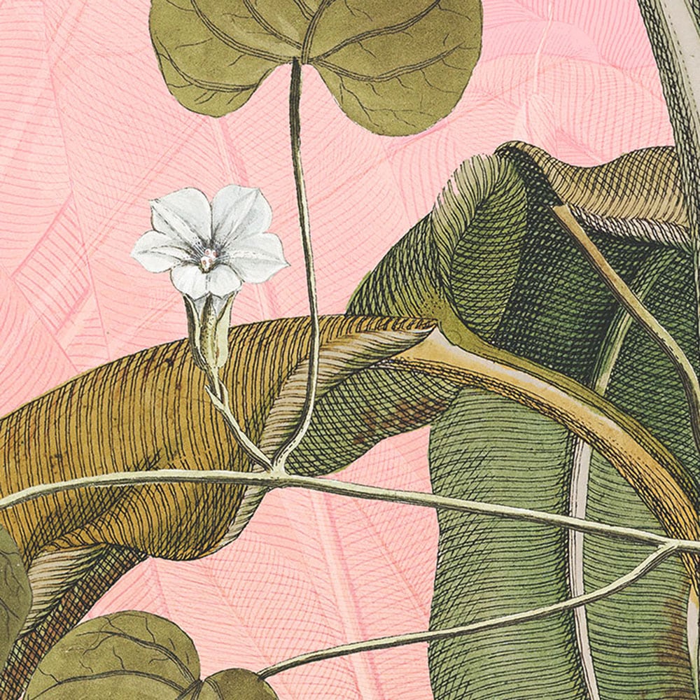 Komar Fototapete »Dot - selbstklebende Vlies Fototapete - Botany - Größe 125 x 125 cm« Motiv | bedruckt glatt