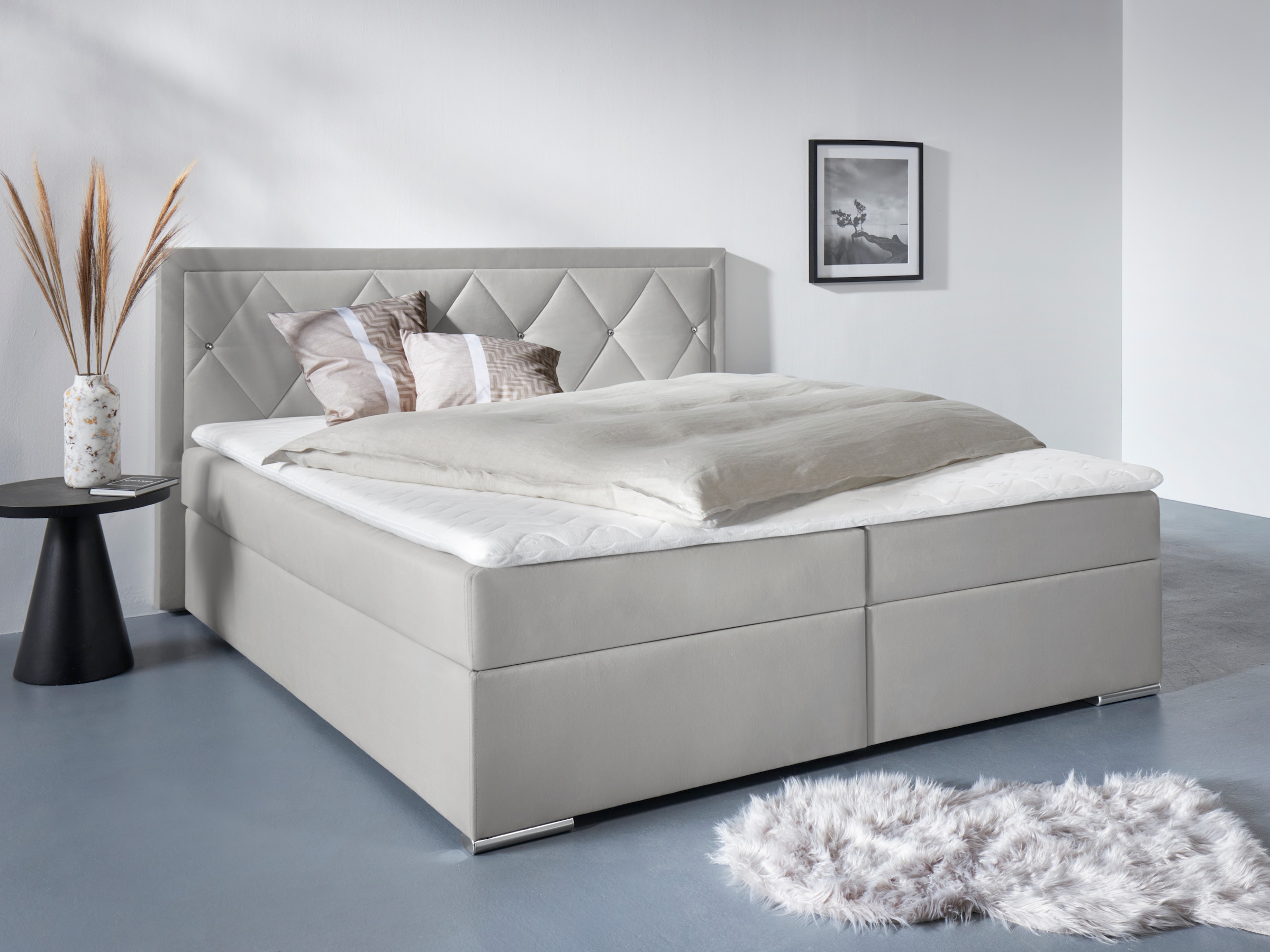 Home affaire Boxbett "ALFIE, Polsterbett wahlweise mit Bettkasten, Samtvelours-Bezug" mit Bonnell-oder Taschenfederkernmatratze H2,H3, H4, 120/140/180x200cm