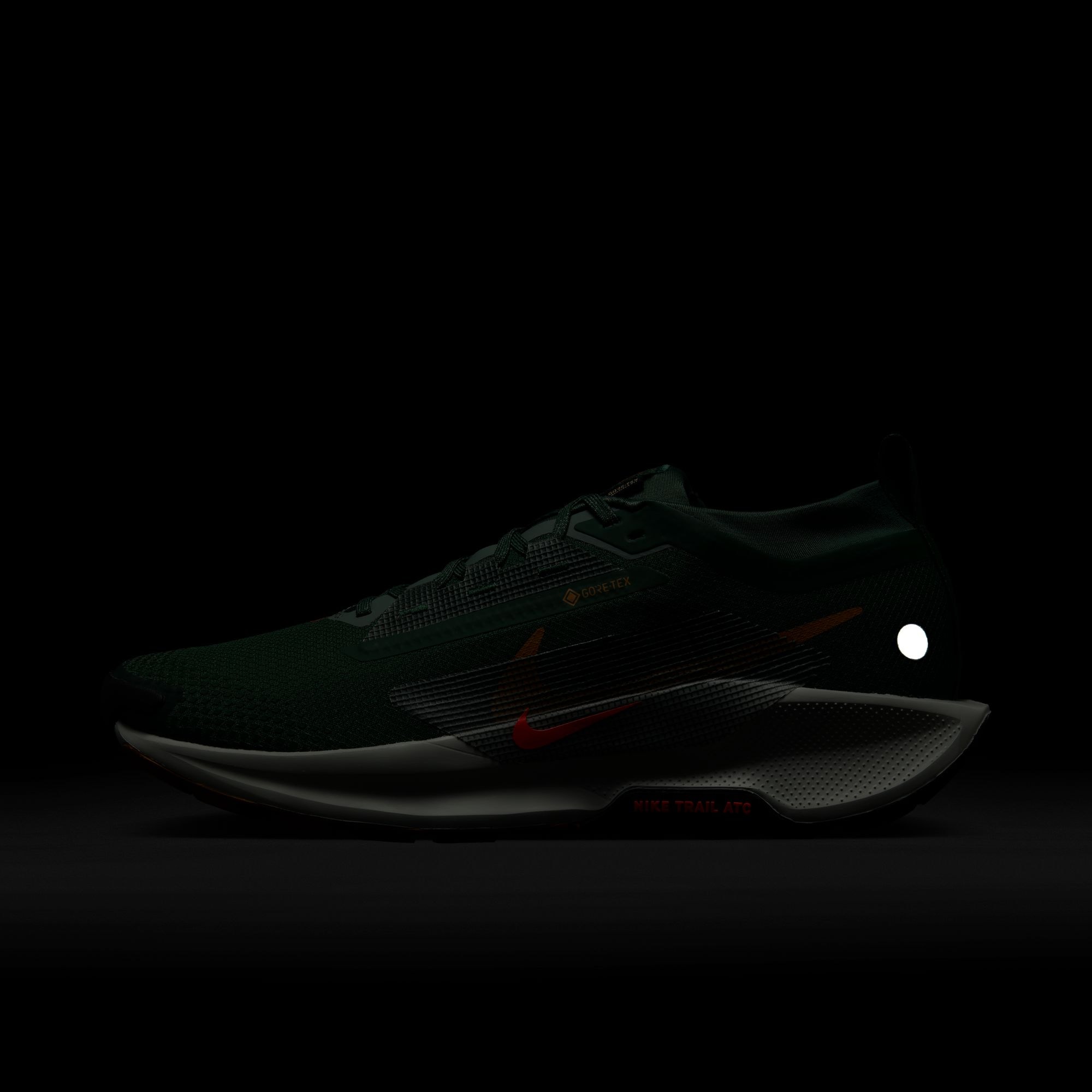 Nike Laufschuh »PEGASUS TRAIL 5 GTX«