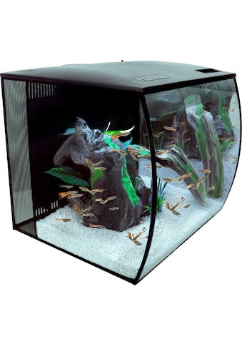 FLUVAL Akvariumas »Flex« 57 l BxTxH: 41x39x39...