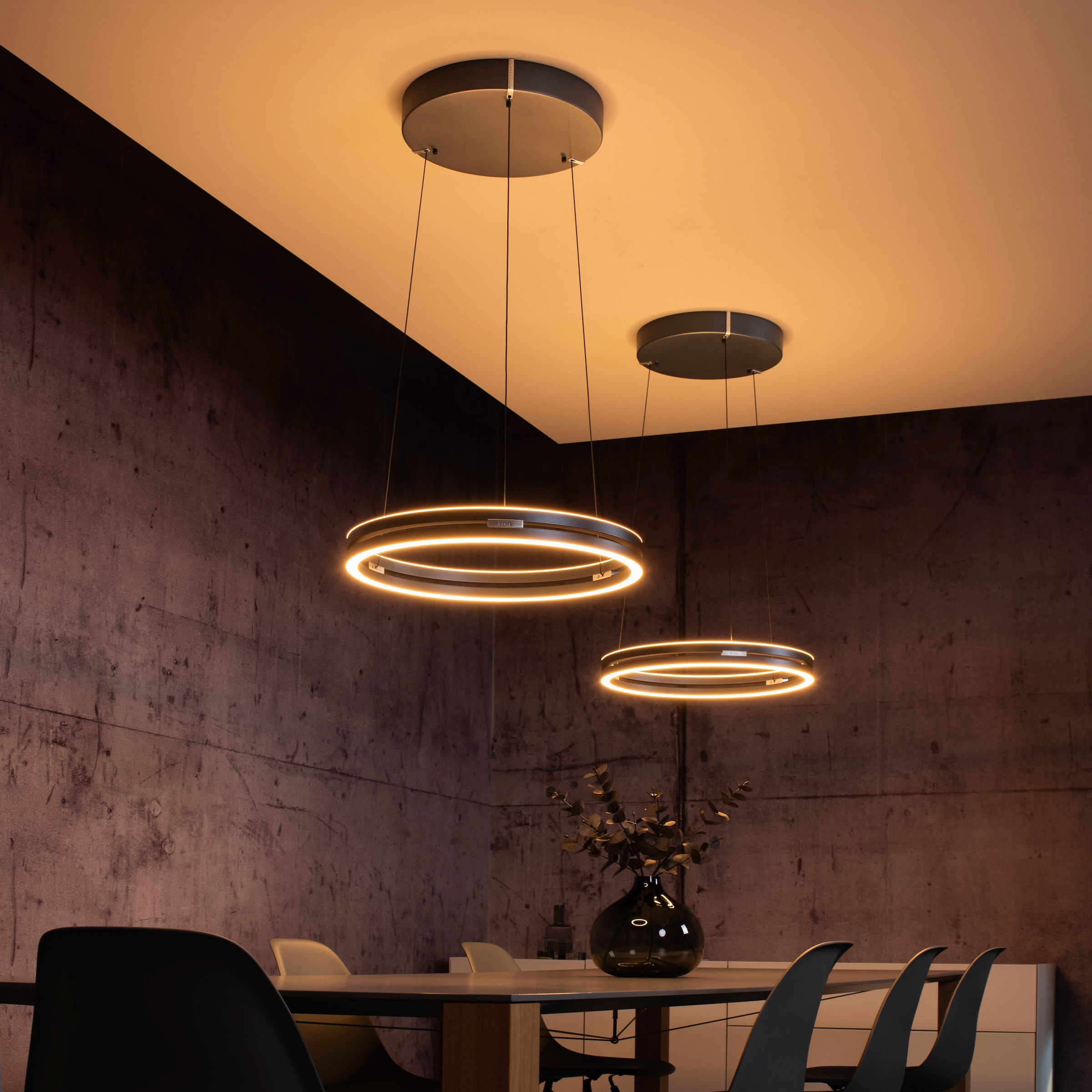 Neuhaus PURE LED Pendelleuchte »PURE E-Loop« LED-Board 1 Stk. warmweiß - kaltweiß e-LIFT® Funktion, CCT, dimmbar über Fernbedienung