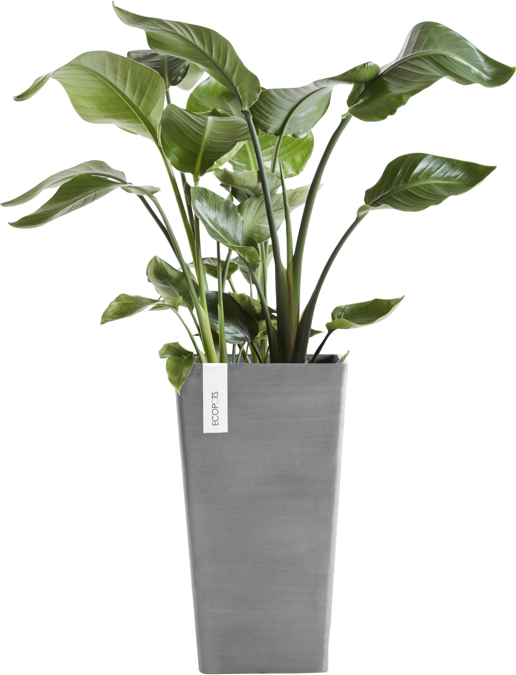 ECOPOTS Blumentopf "ROTTERDAM MID HIGH Grey", BxTxH: 31x31x56 cm günstig online kaufen