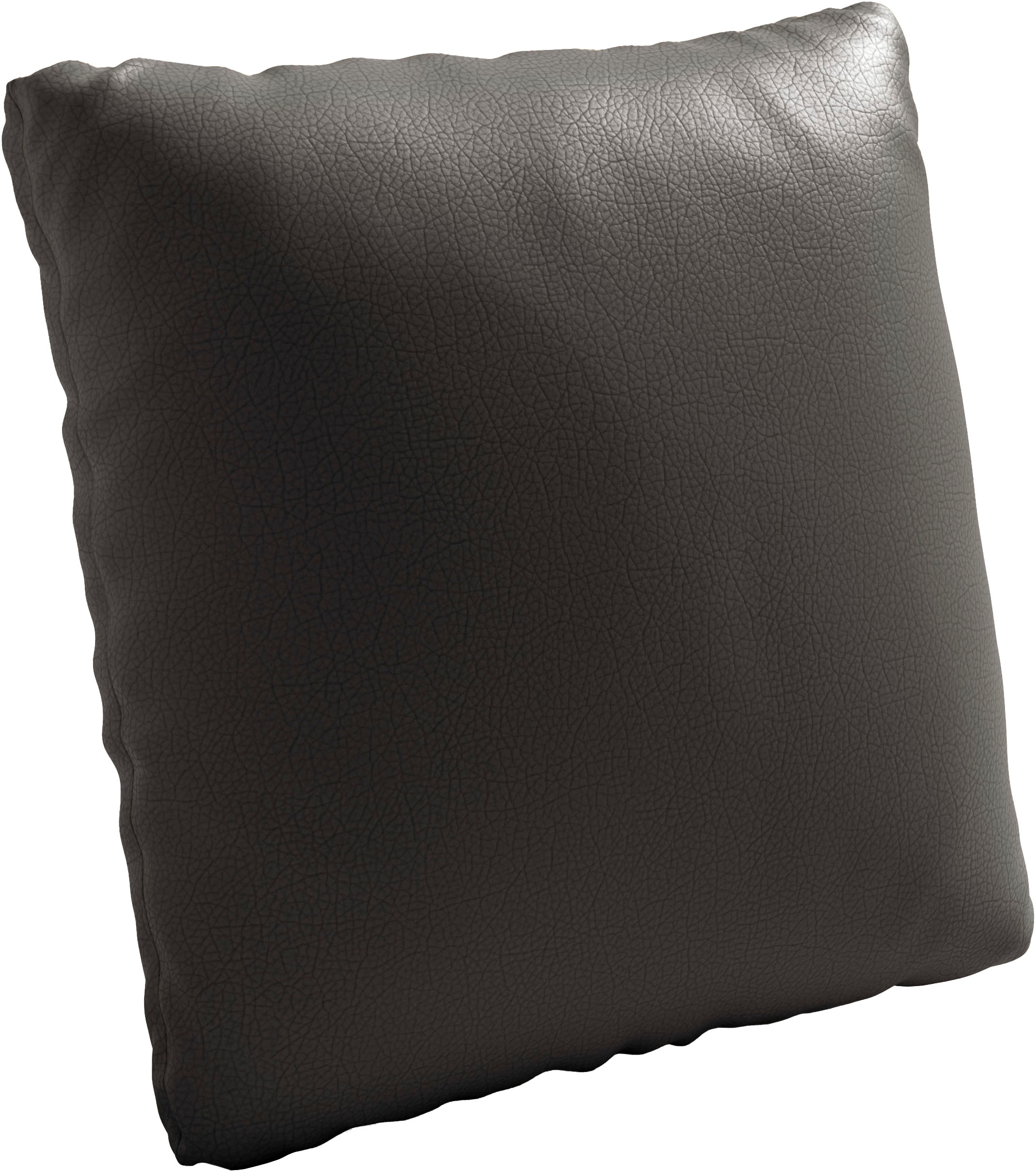 Polsterauflage SIT & MORE "Morris Jubi", schwarz, B:45cm H:45cm T:12cm, Polsterauflagen, Polsterauflage