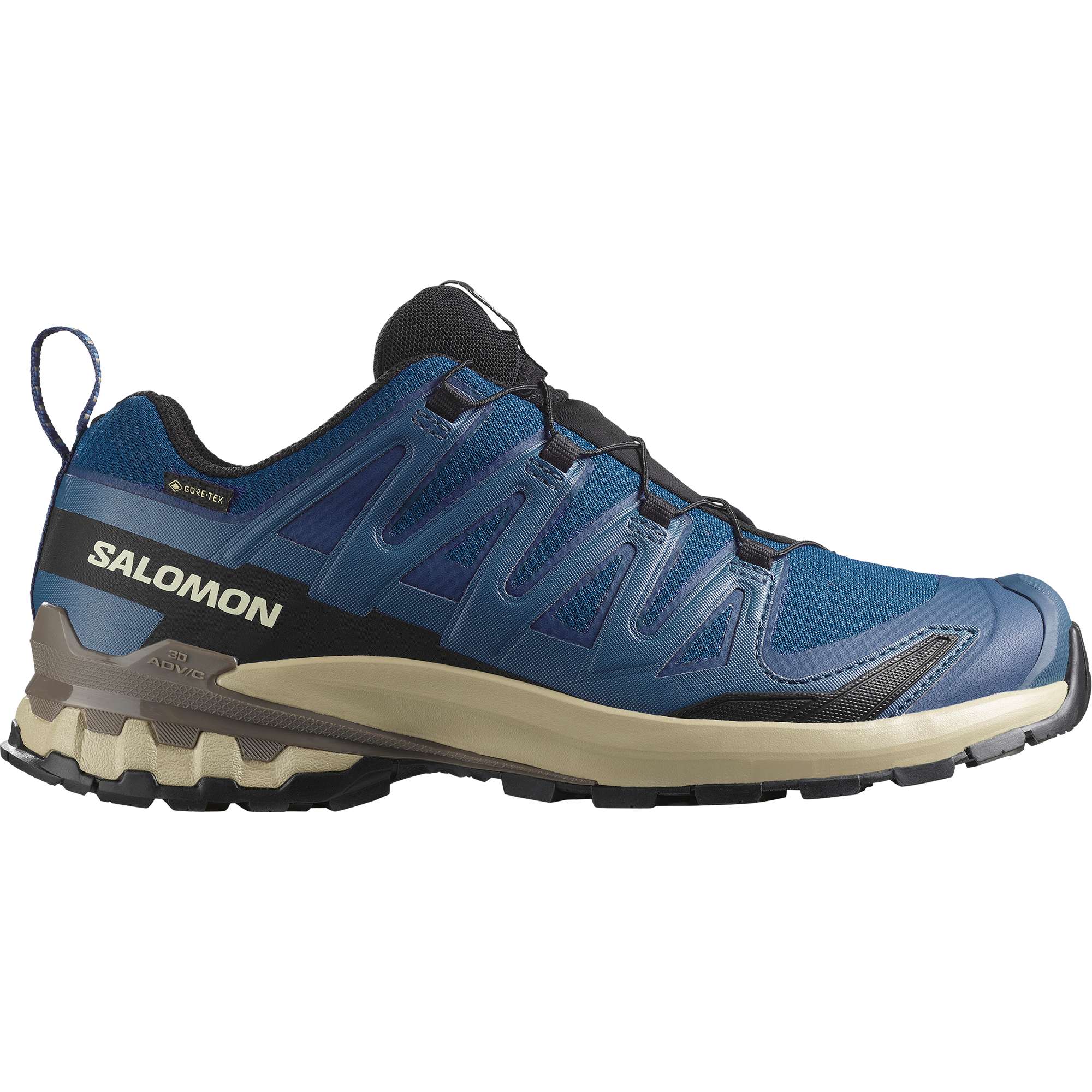 Salomon Trailrunningschuh »XA PRO 3D V9 GORE-TEX«, wasserdicht