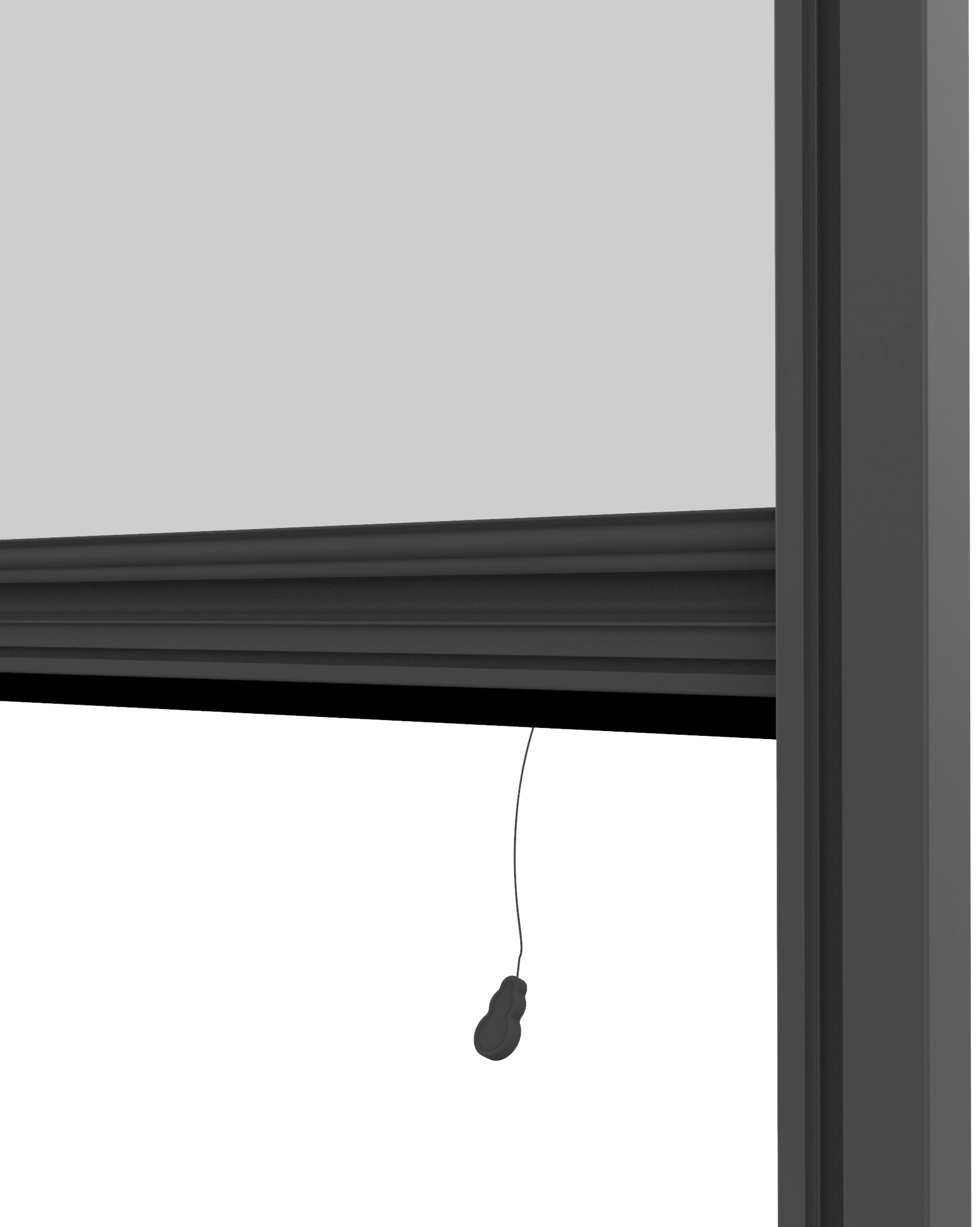 Windhager Insektenschutzrollo, transparent, Insektenschutz, BxH: 100x160 cm